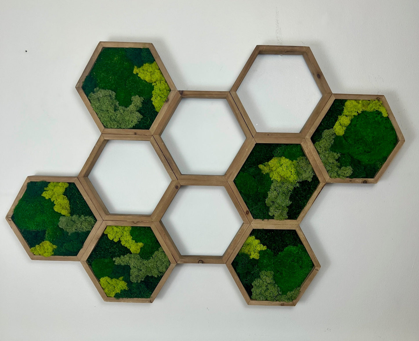Moss Wall Art | Honeycomb Moss Attached Hexagons | Wood Hexagon | Reindeer Moss, Sheet Moss, Pole Moss Yellow Preserved Flowers