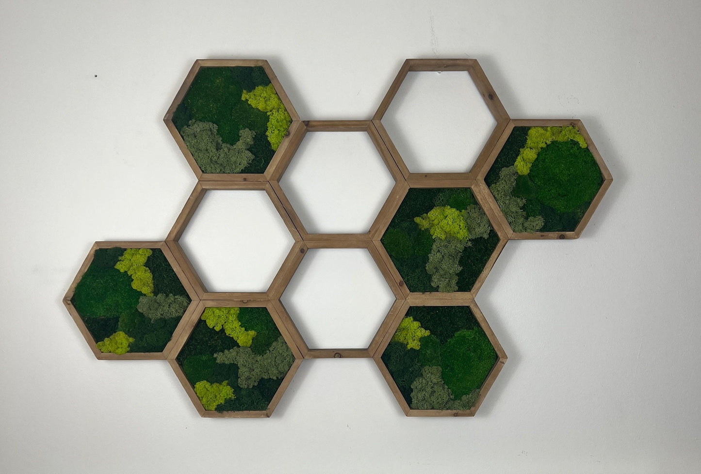 Moss Wall Art | Honeycomb Moss Attached Hexagons | Wood Hexagon | Reindeer Moss, Sheet Moss, Pole Moss Yellow Preserved Flowers