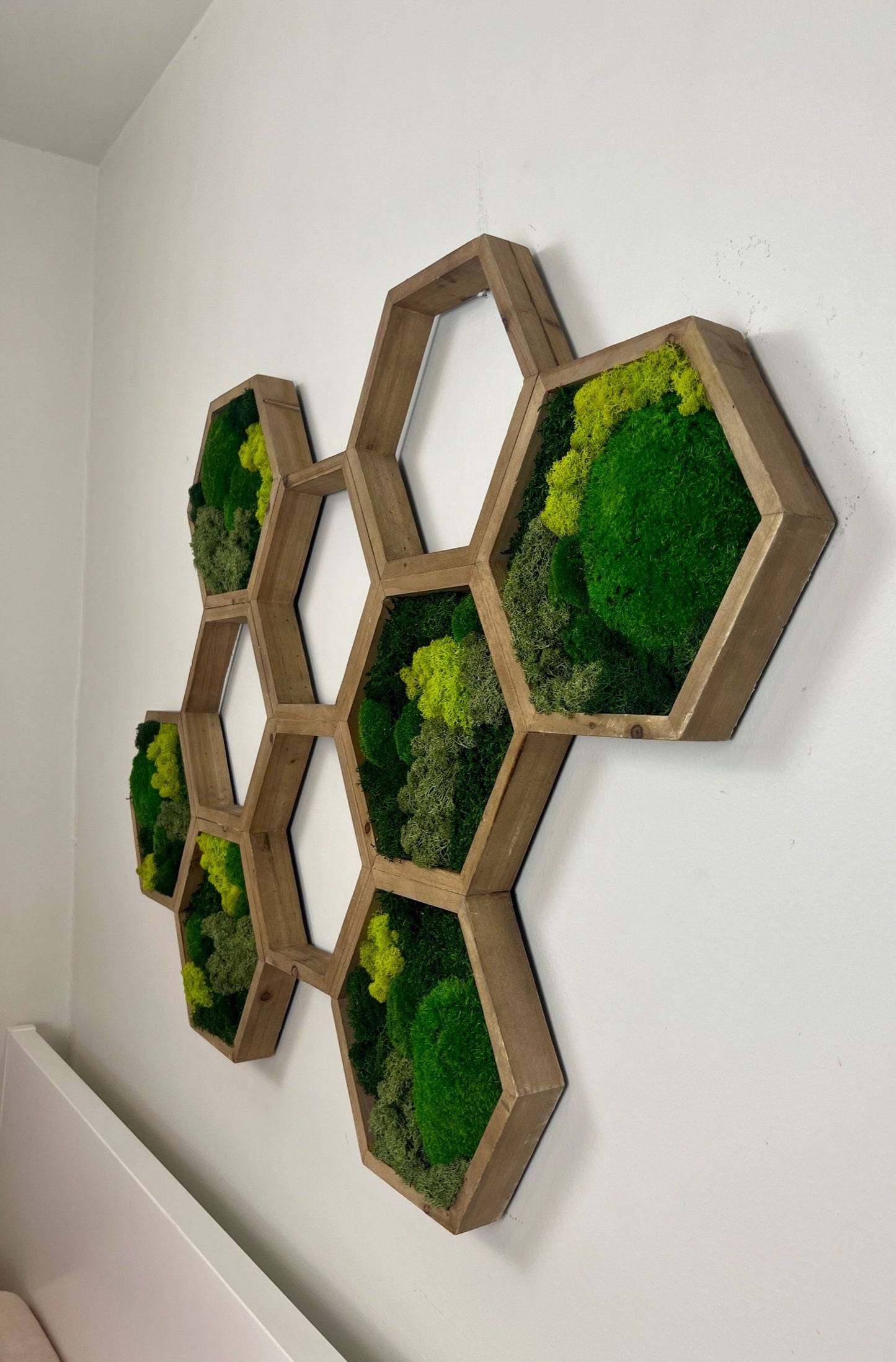 Moss Wall Art | Honeycomb Moss Attached Hexagons | Wood Hexagon | Reindeer Moss, Sheet Moss, Pole Moss Yellow Preserved Flowers