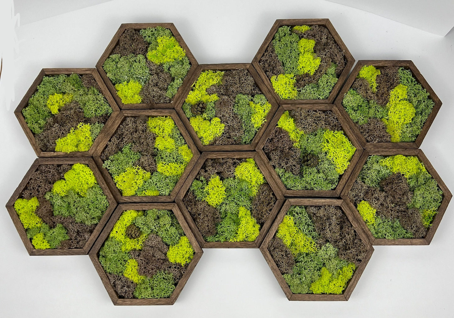 Preserved Reindeer Moss Wall Art: Wood Hexagon Set | USA - TARIFF FREE