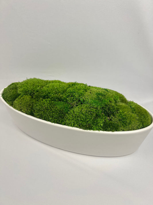 Moss Centerpiece | Mood Moss | Preserved Moss Gift | Ceramic Centerpiece Bowl | One of a Kind | Green Mood Moss | Wedding Centrepiece