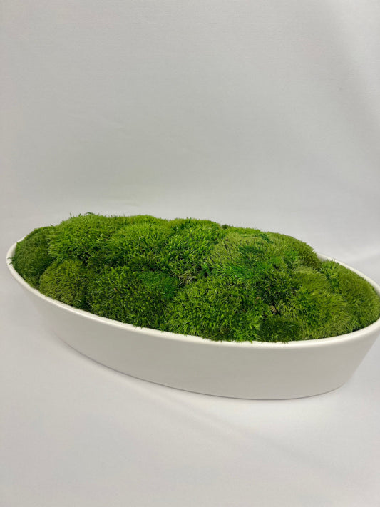 Preserved Moss Centerpiece: Reindeer & Pole Moss in Ceramic Bowl | USA - TARIFF FREE