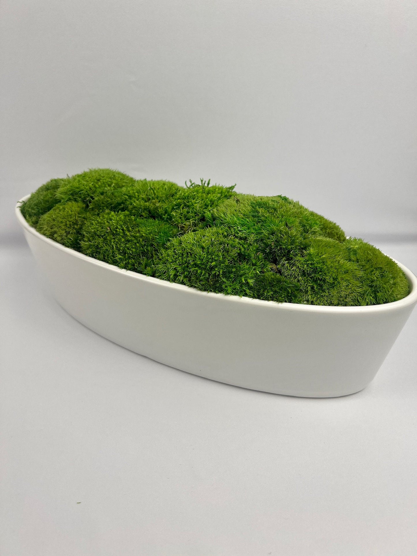 Preserved Moss Centerpiece: Reindeer & Pole Moss in Ceramic Bowl | USA - TARIFF FREE