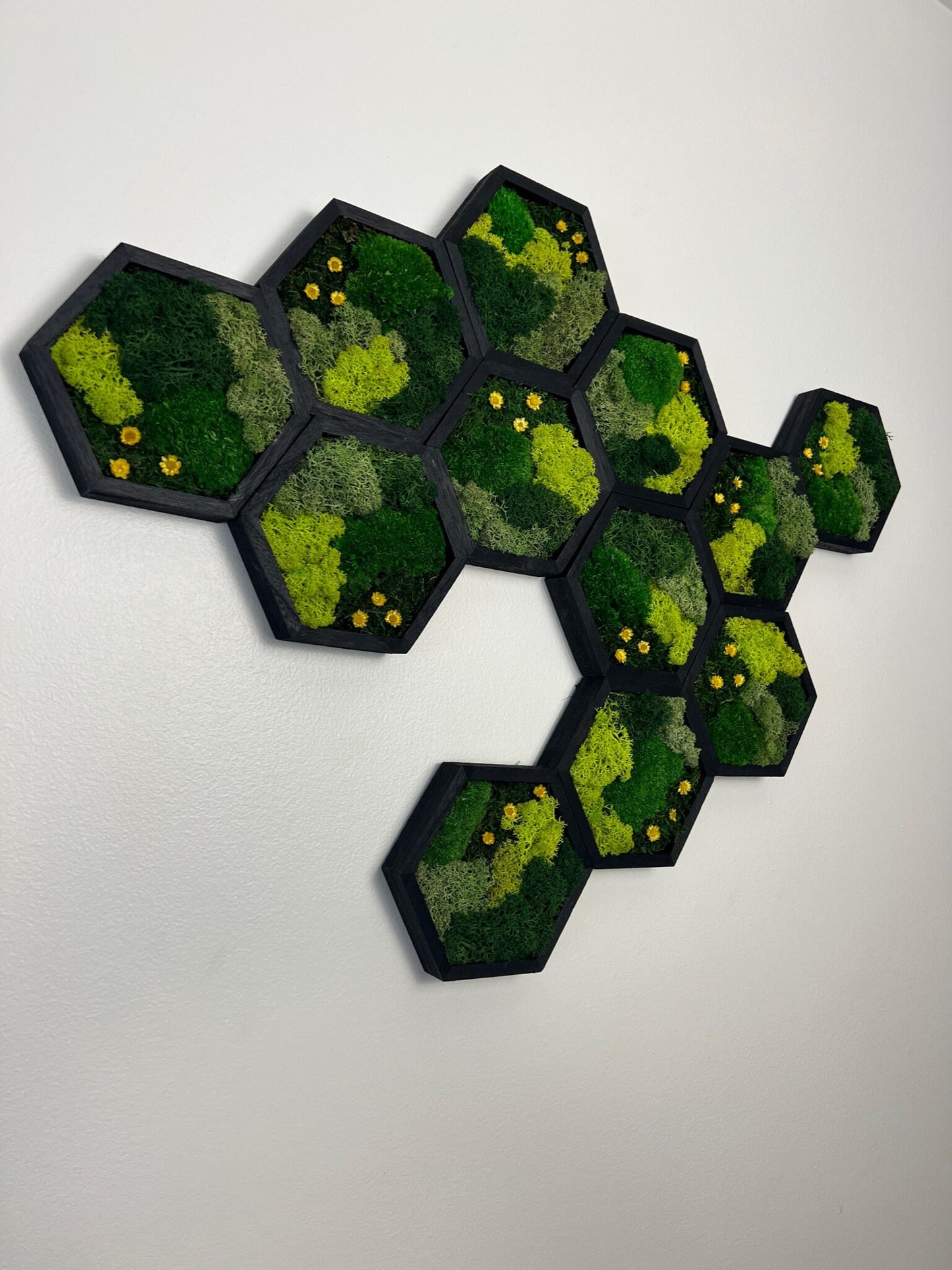 Moss Wall Art | Honeycomb Moss Single to Set of Twelve | Wood Hexagon | Green Reindeer Moss, Pole Moss with Yellow Preserved Flowers