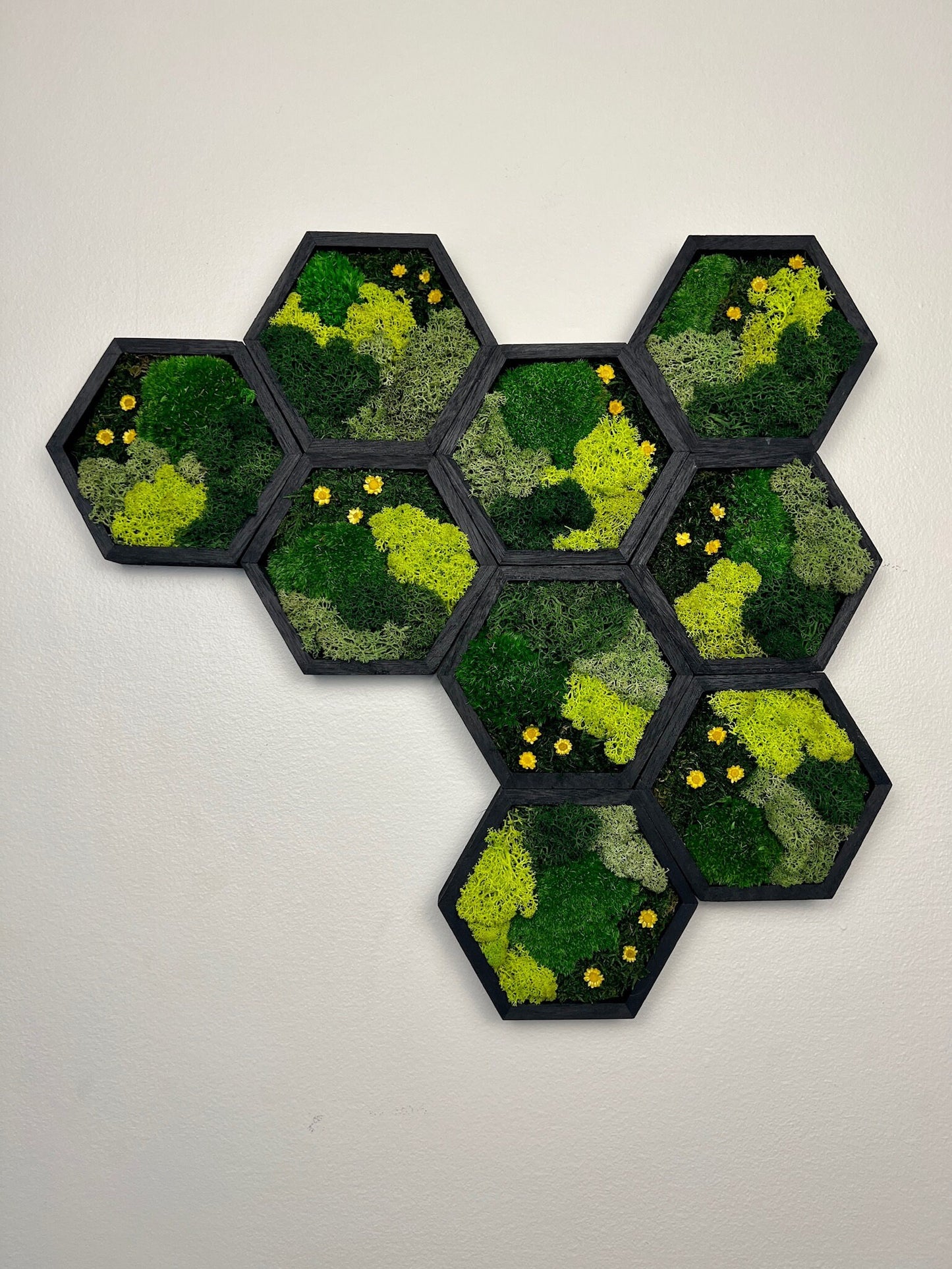 Moss Wall Art | Honeycomb Moss Single to Set of Twelve | Wood Hexagon | Green Reindeer Moss, Pole Moss with Yellow Preserved Flowers