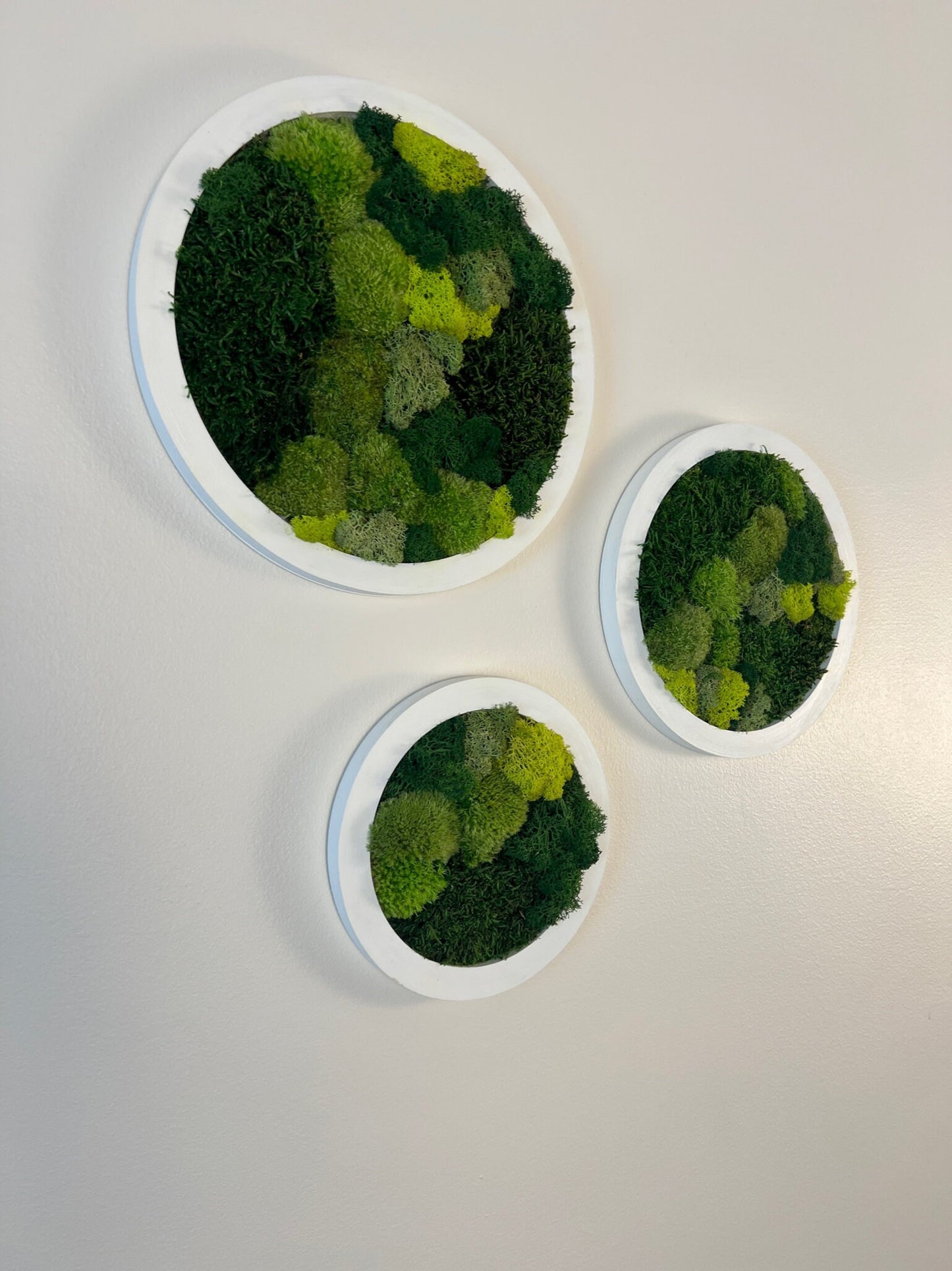 Moss Wall Art Circle | Preserved Moss Art Framed | Moss Wall Decor | Moss Circle Wall | Green Reindeer Moss Pole Moss Sheet Moss | Gift