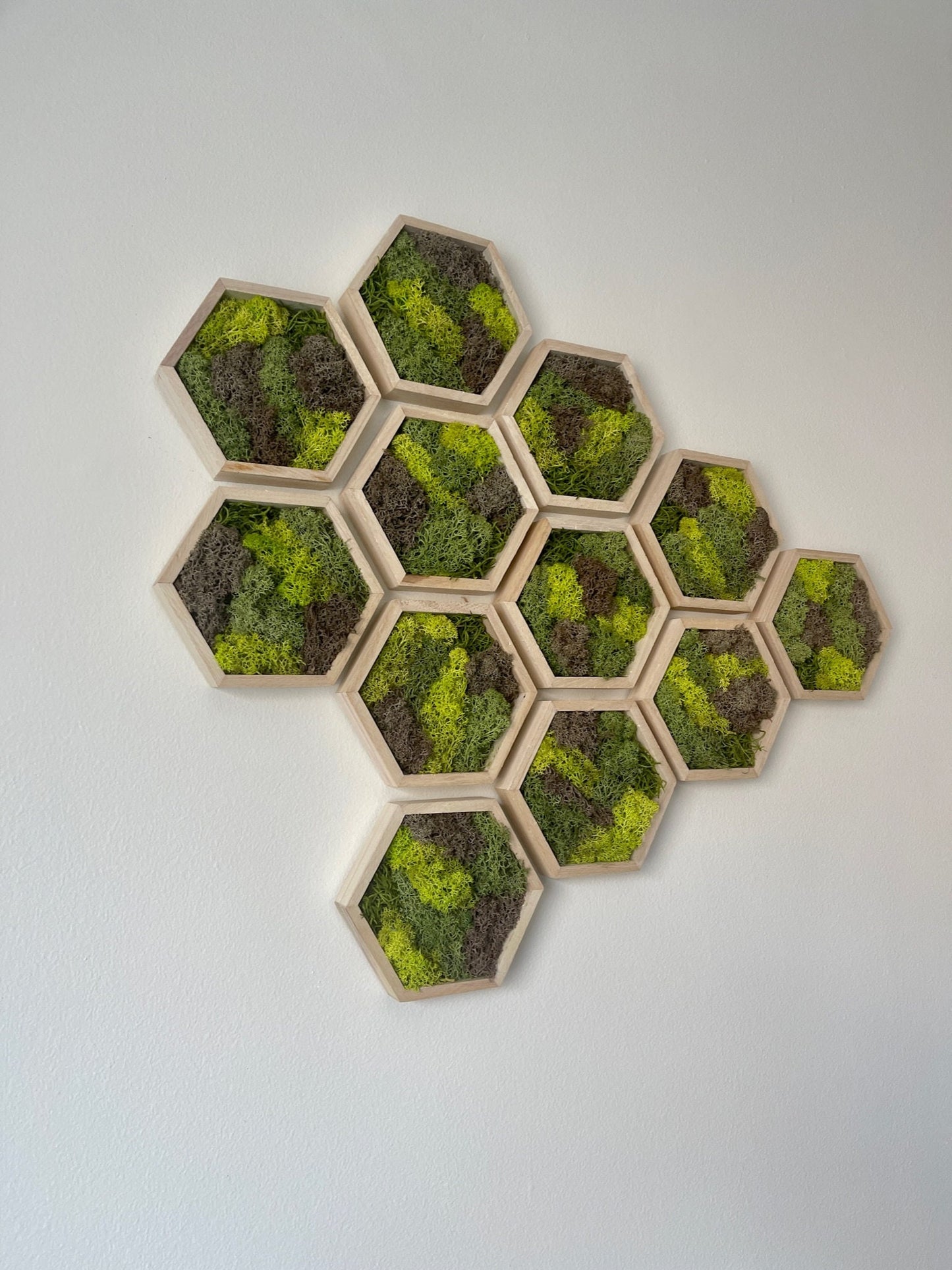 Moss Wall Art | Preserved Moss Wall Decor | Single to Set of Twelve | Wood Hexagon | Green and Brown Reindeer Moss | Mothers Day Gift