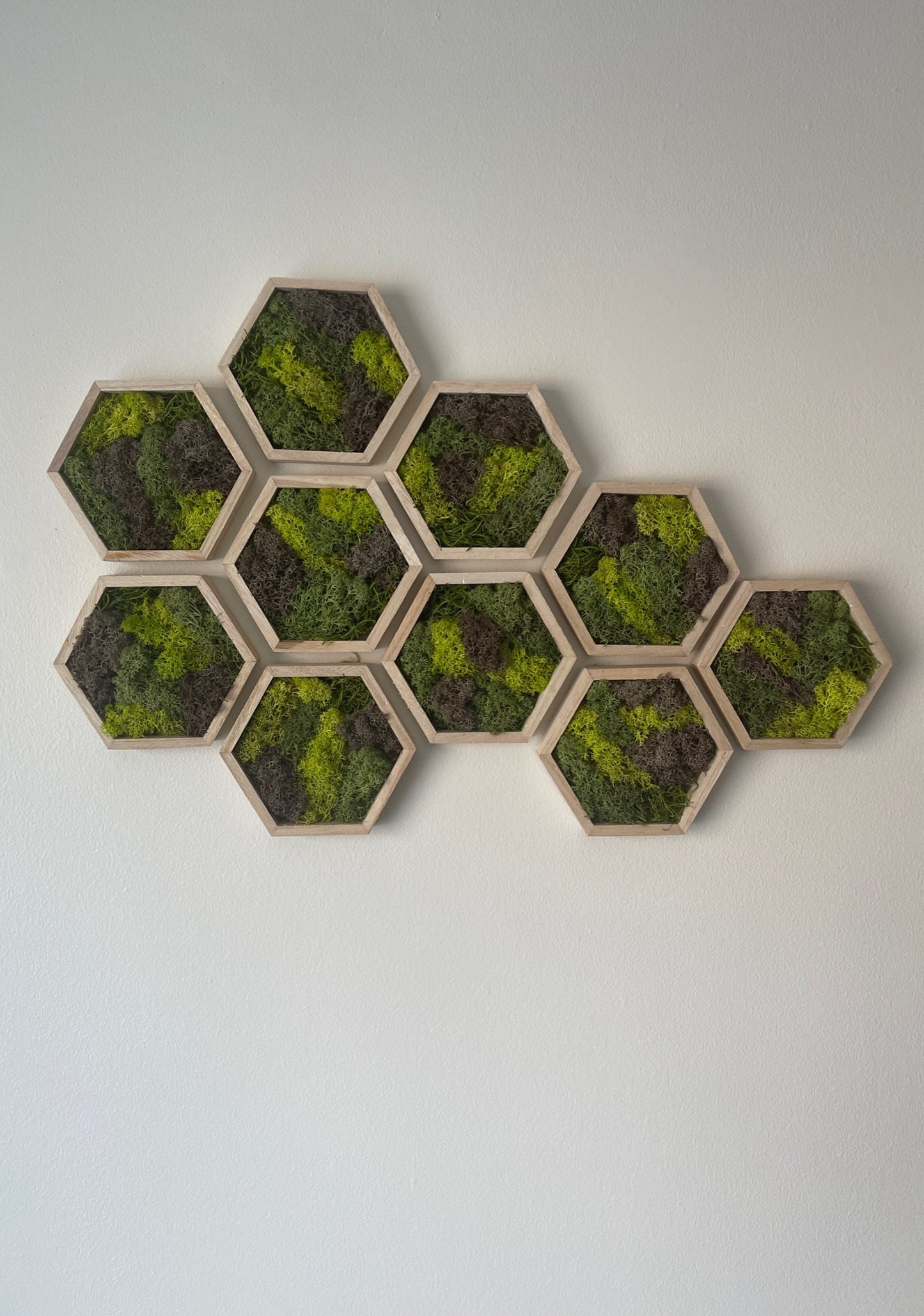 Moss Wall Art | Preserved Moss Wall Decor | Single to Set of Twelve | Wood Hexagon | Green and Brown Reindeer Moss | Mothers Day Gift