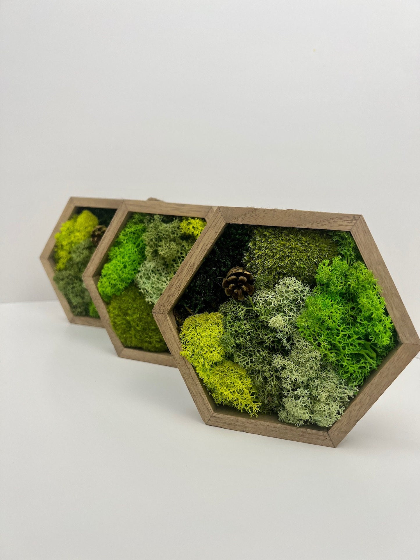 Moss Wall Art | Preserved Moss Wall Decor | Single to Set of Twelve | Wood Hexagon | Green Mint Reindeer Moss Sheet Moss | Mothers Day Gift