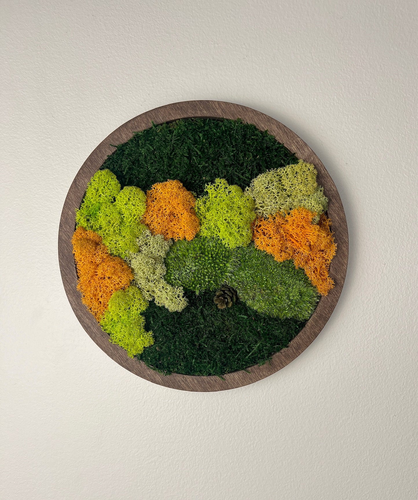 Moss Wall Art Circle | Preserved Moss Art Framed | Moss Wall Decor | Single or Set of Two | Reindeer Moss Pole Moss Sheet Moss | Christmas