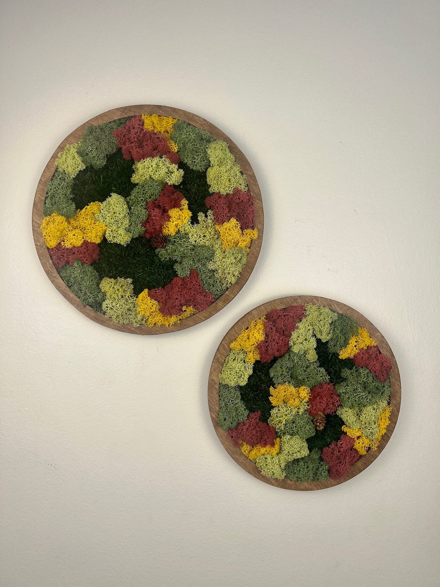 Moss Wall Art Circle | Preserved Moss Art Framed | Moss Wall Decor | Single or Set of Two | Reindeer & Sheet Moss | Gift | Christmas