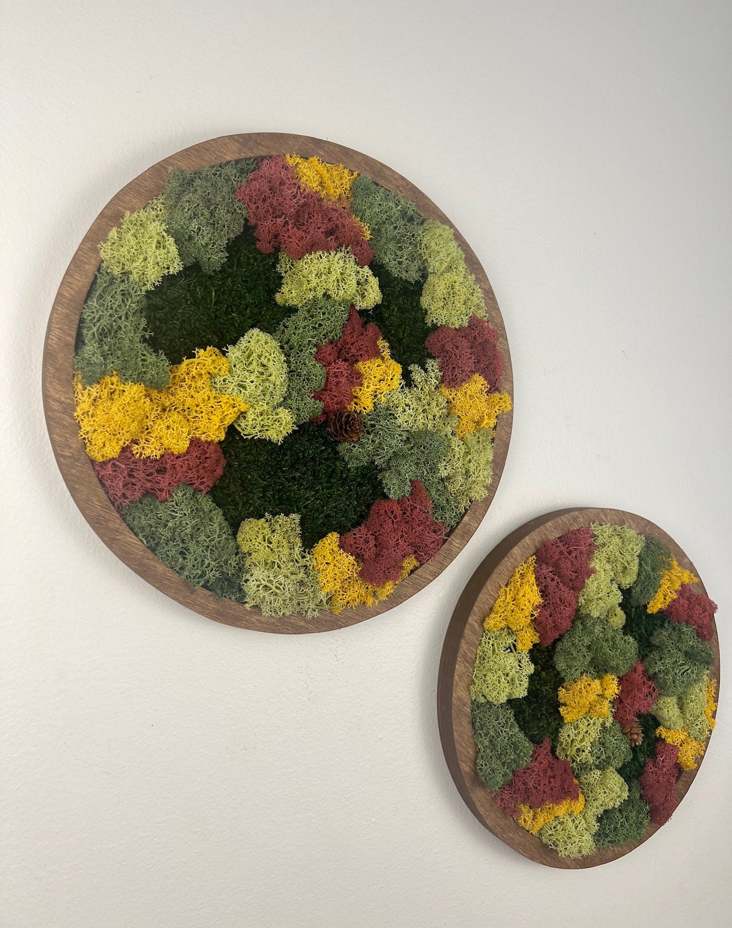 Moss Wall Art Circle | Preserved Moss Art Framed | Moss Wall Decor | Single or Set of Two | Reindeer & Sheet Moss | Gift | Christmas