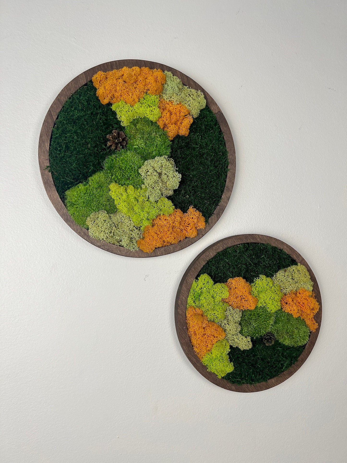 Moss Wall Art Circle | Preserved Moss Art Framed | Moss Wall Decor | Single or Set of Two | Reindeer Moss Pole Moss Sheet Moss | Christmas