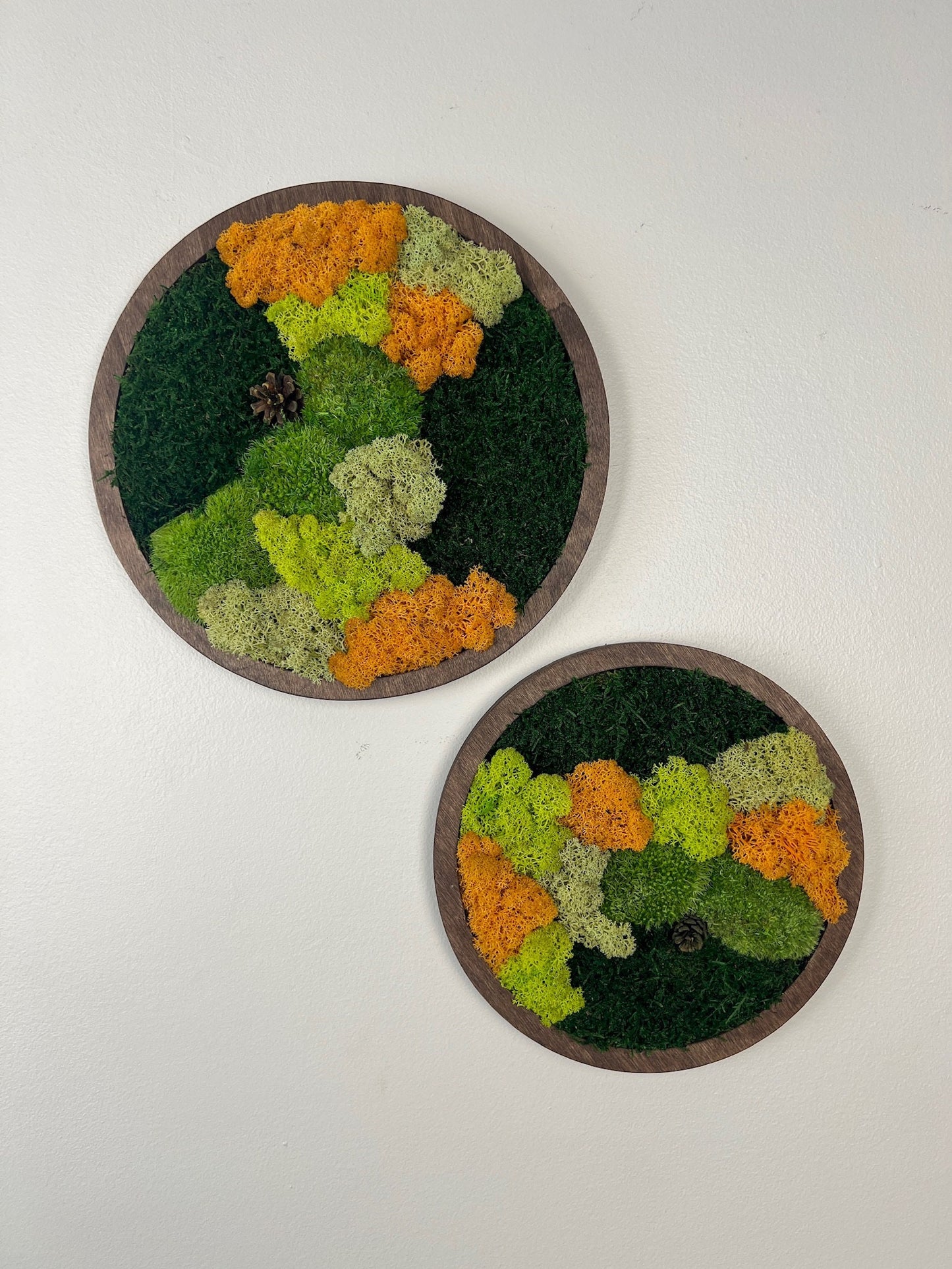 Moss Wall Art Circle | Preserved Moss Art Framed | Moss Wall Decor | Single or Set of Two | Reindeer Moss Pole Moss Sheet Moss | Christmas