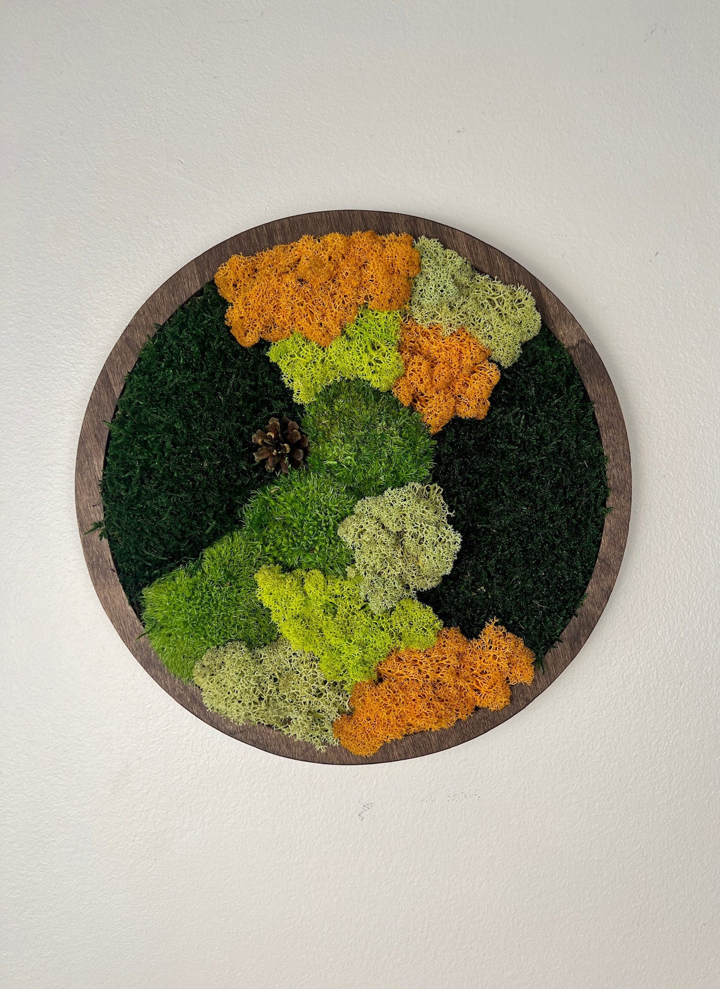 Moss Wall Art Circle | Preserved Moss Art Framed | Moss Wall Decor | Single or Set of Two | Reindeer Moss Pole Moss Sheet Moss | Christmas