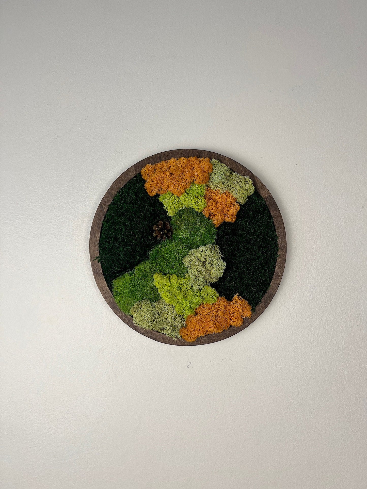 Moss Wall Art Circle | Preserved Moss Art Framed | Moss Wall Decor | Single or Set of Two | Reindeer Moss Pole Moss Sheet Moss | Christmas
