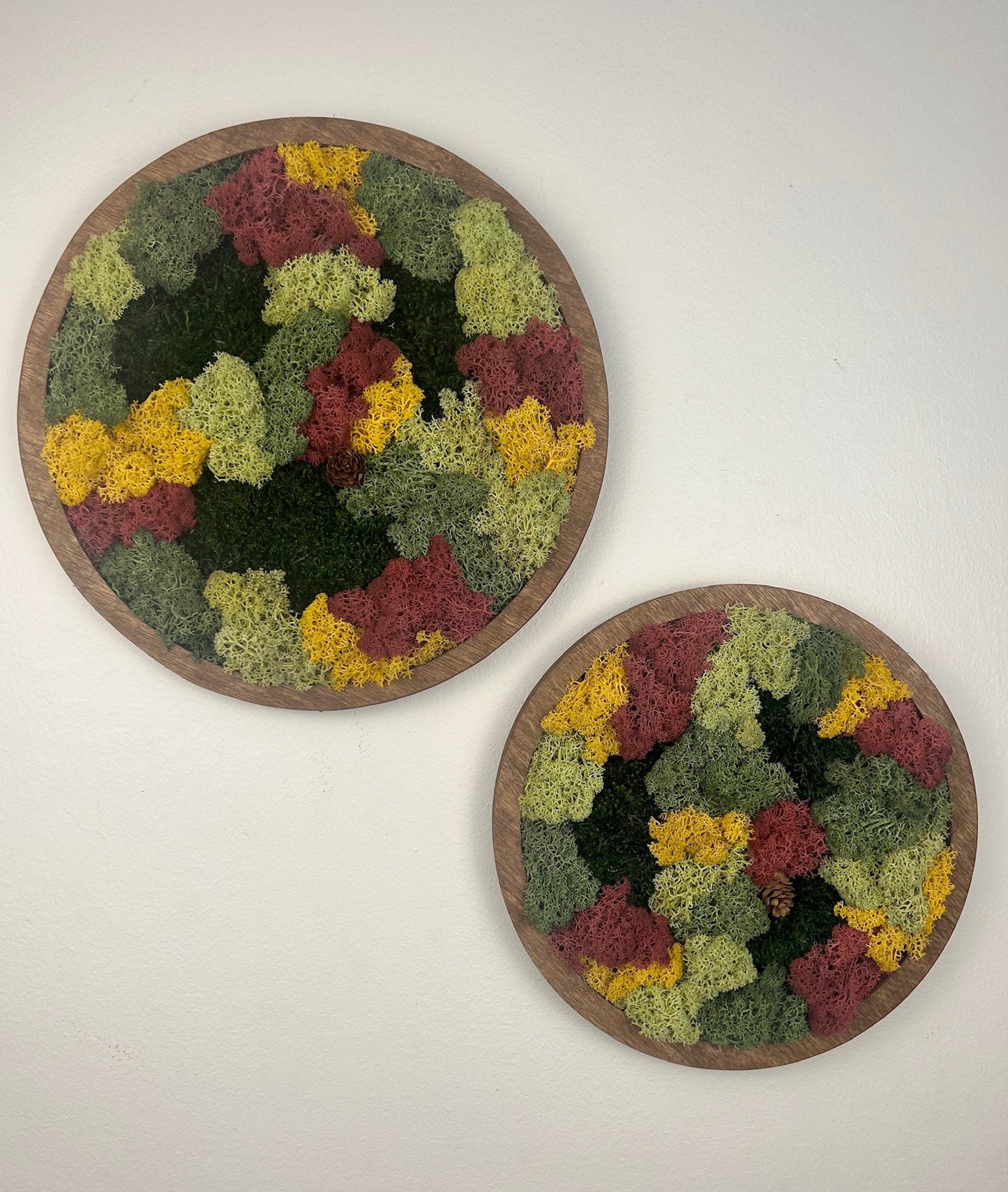 Moss Wall Art Circle | Preserved Moss Art Framed | Moss Wall Decor | Single or Set of Two | Reindeer & Sheet Moss | Gift | Christmas
