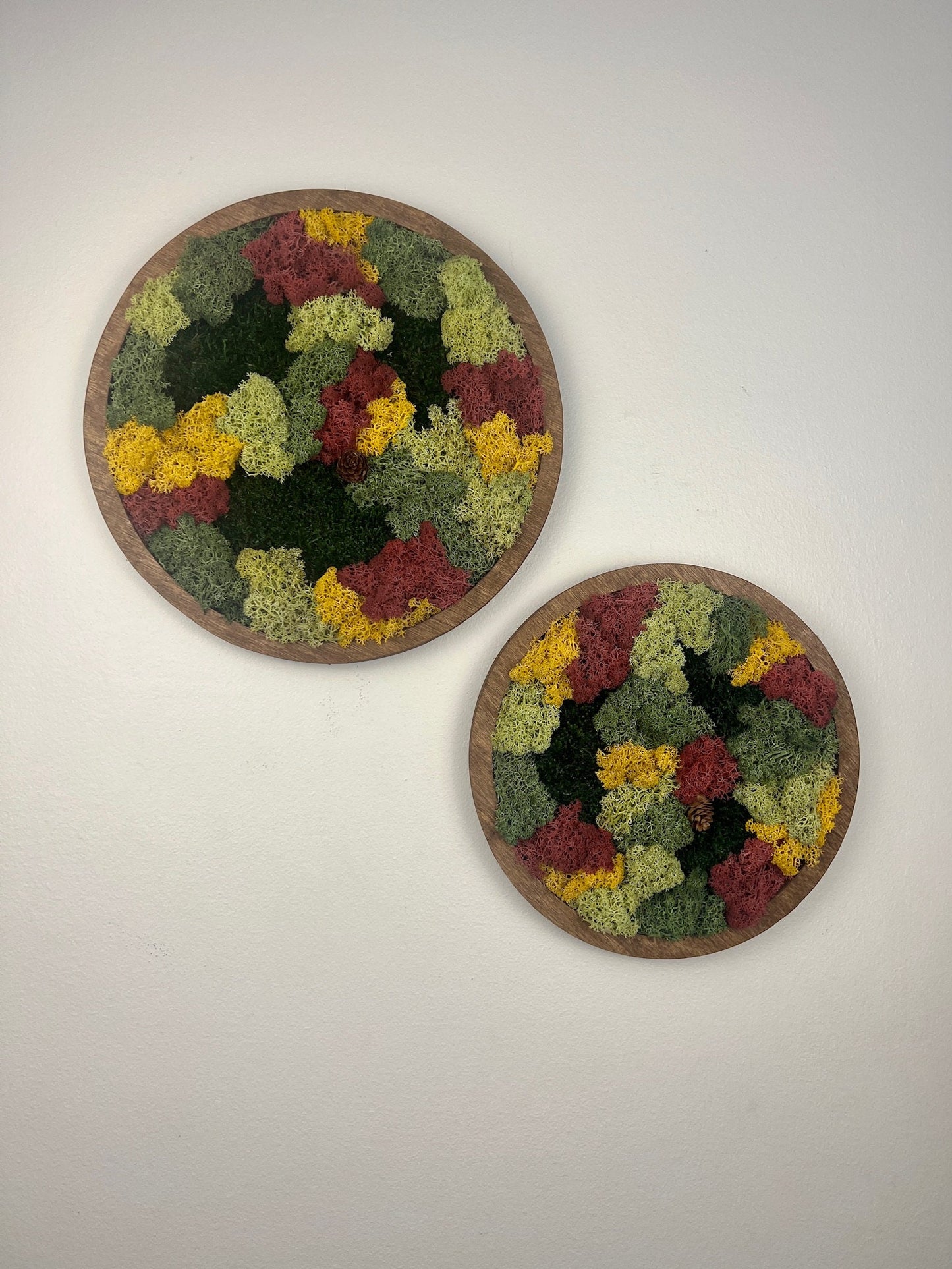 Moss Wall Art Circle | Preserved Moss Art Framed | Moss Wall Decor | Single or Set of Two | Reindeer & Sheet Moss | Gift | Christmas
