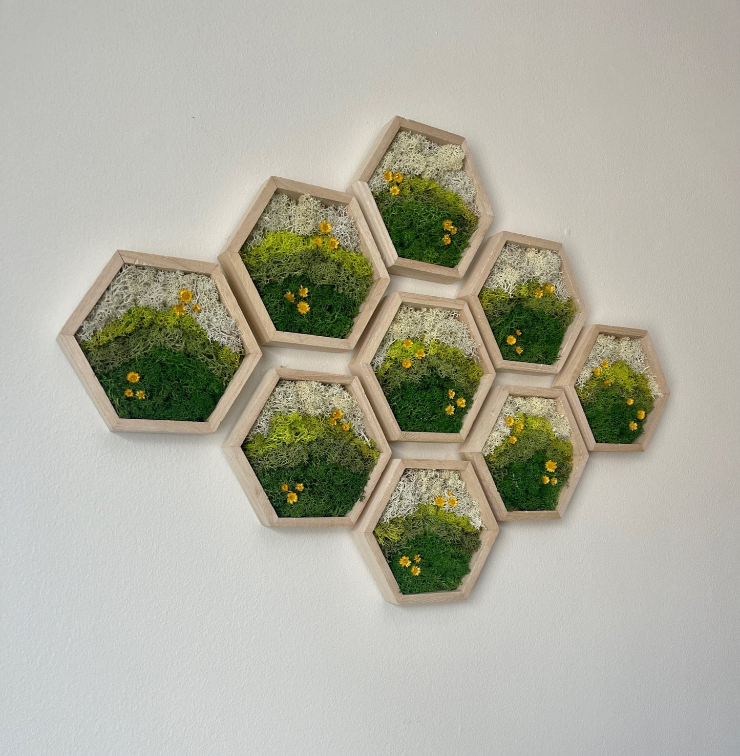 Moss Wall Art | Preserved Moss Decor | Single to Set of Twelve | Wood Hexagon Honeycomb | Mothers Day Gift