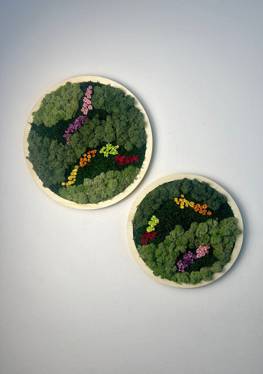 Framed Reindeer Moss Wall Art Circle: Preserved Moss Decor | USA - TARIFF FREE