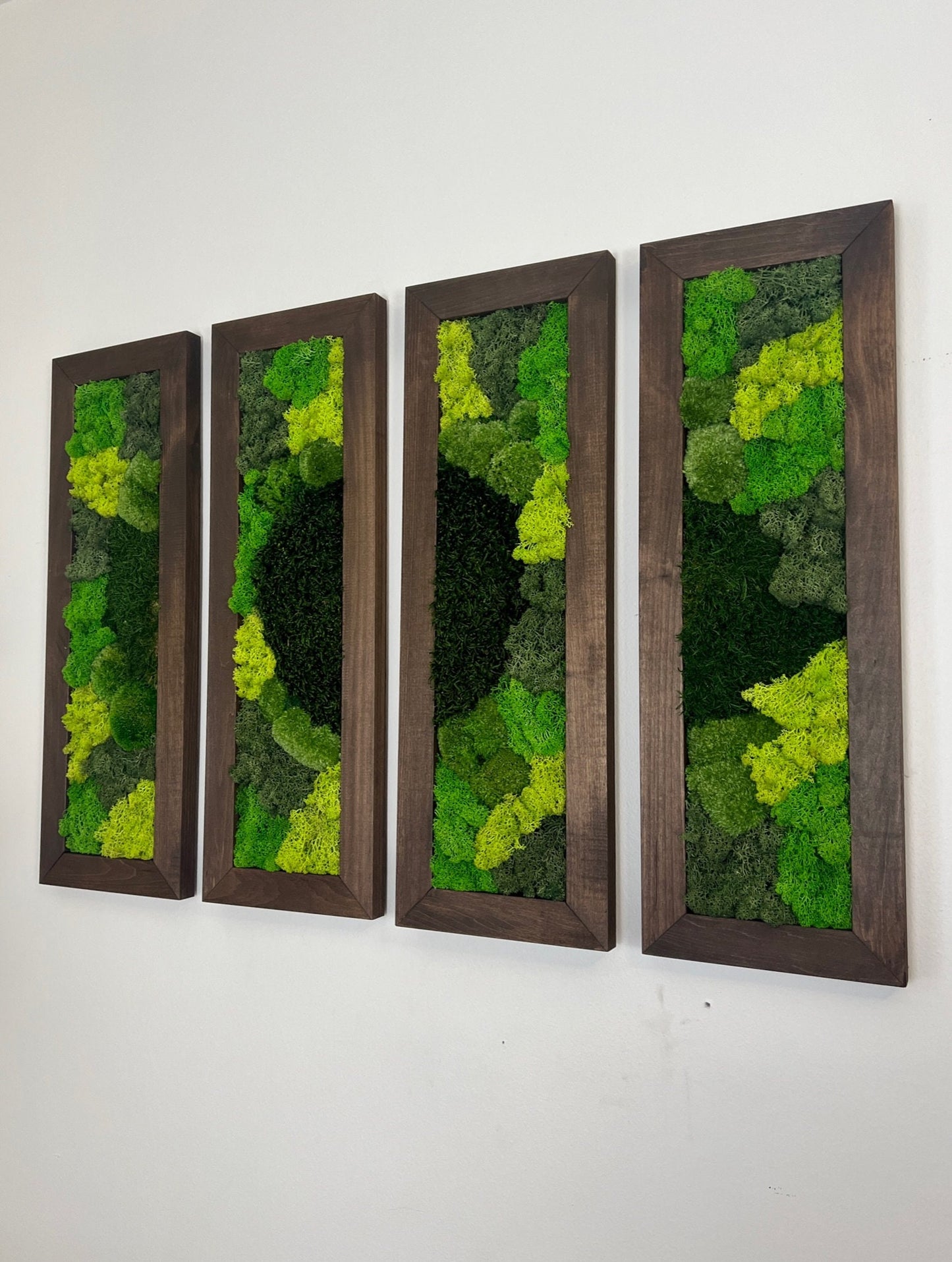 Preserved Reindeer Moss Wall Art: 24” x 8” Wood Frame | USA - TARIFF FREE