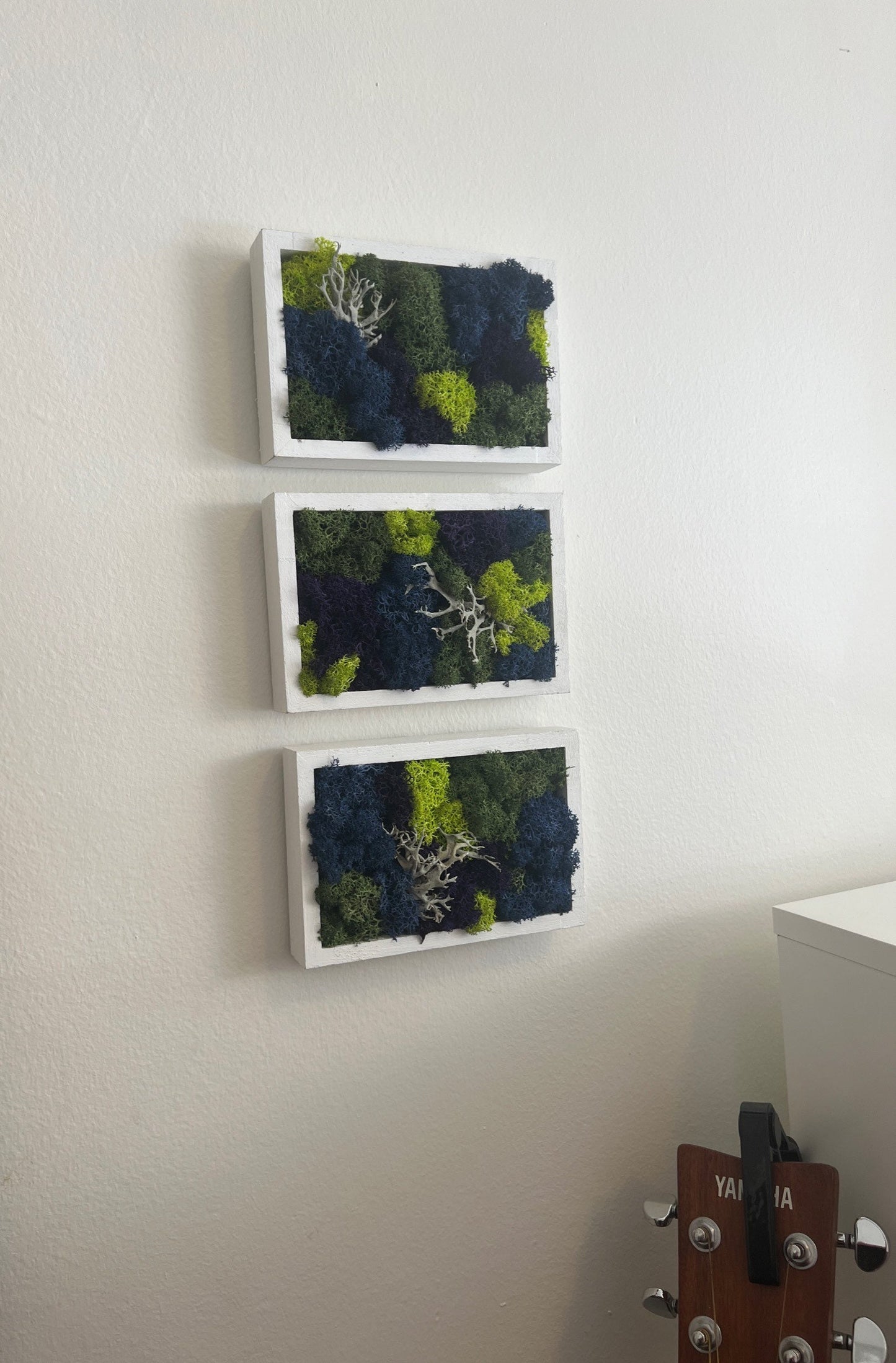 Preserved Moss Wall Art: Framed Reindeer Moss, Blue Purple Green | USA - TARIFF FREE