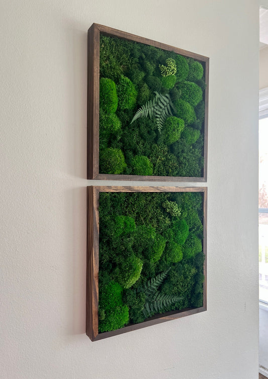 Preserved Moss Wall Art: Framed Reindeer Moss with Fern | USA - TARIFF FREE