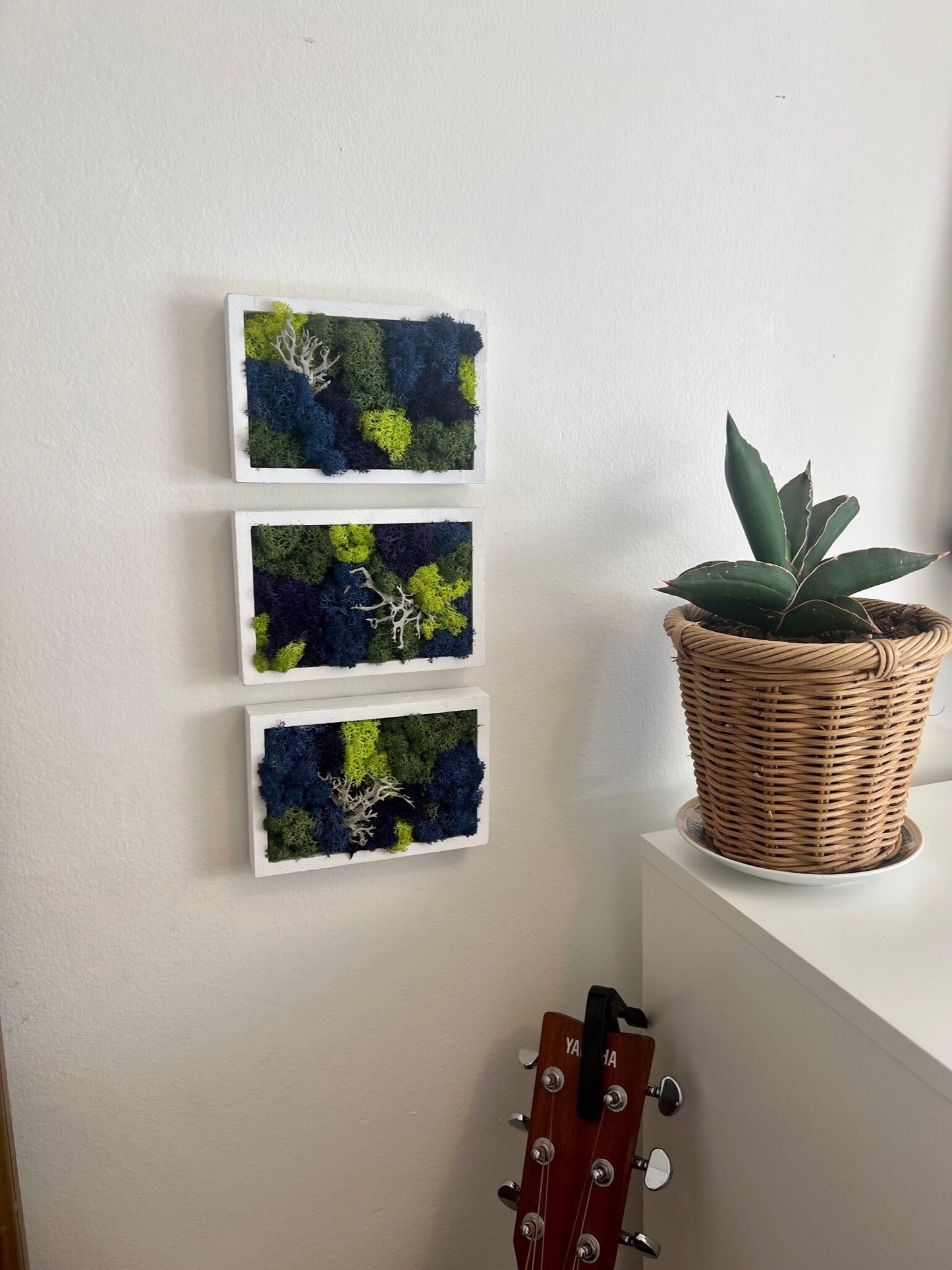Moss Wall Art | Preserved Moss Art Framed | Moss Frame Rectangle | Blue Purple and Green