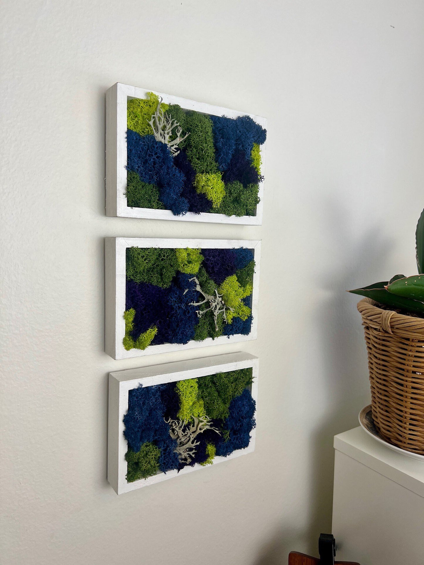 Moss Wall Art | Preserved Moss Art Framed | Moss Frame Rectangle | Blue Purple and Green