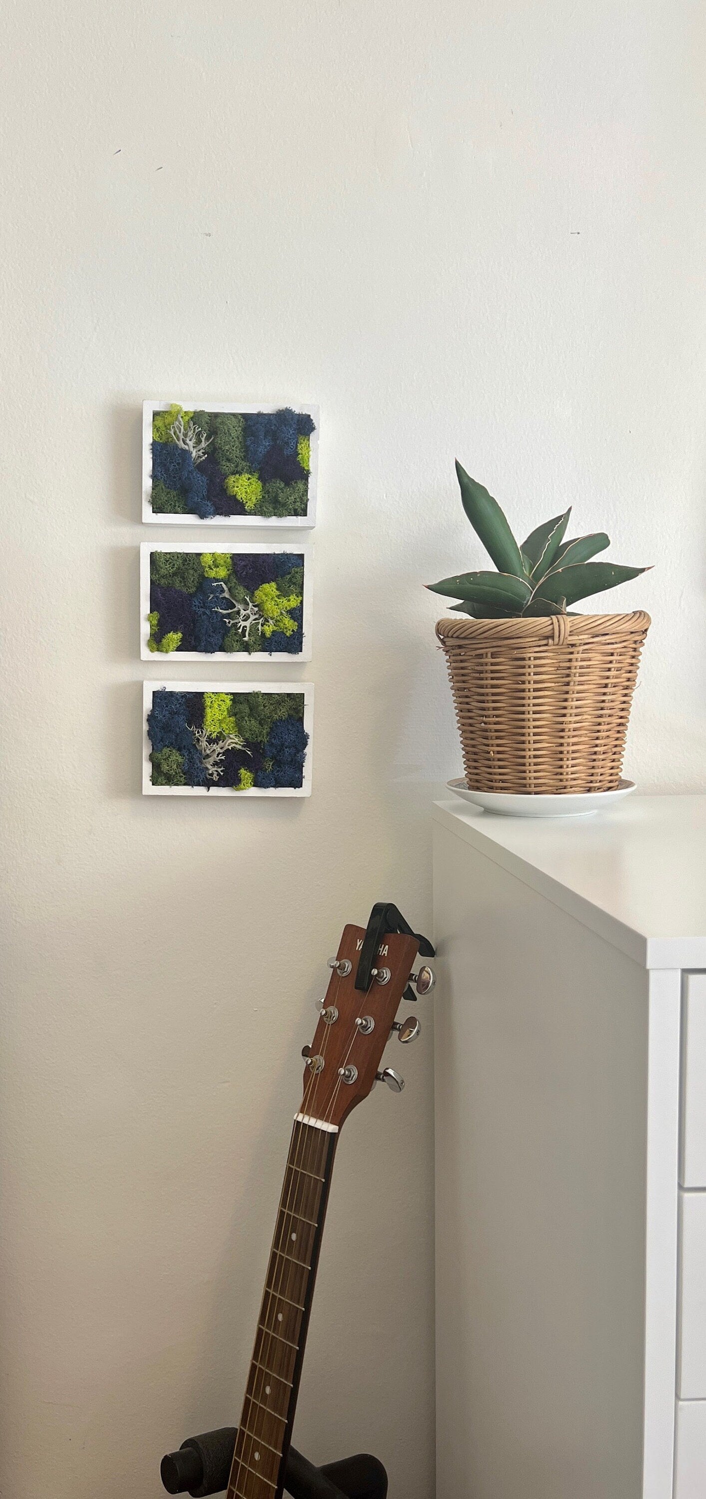 Moss Wall Art | Preserved Moss Art Framed | Moss Frame Rectangle | Blue Purple and Green
