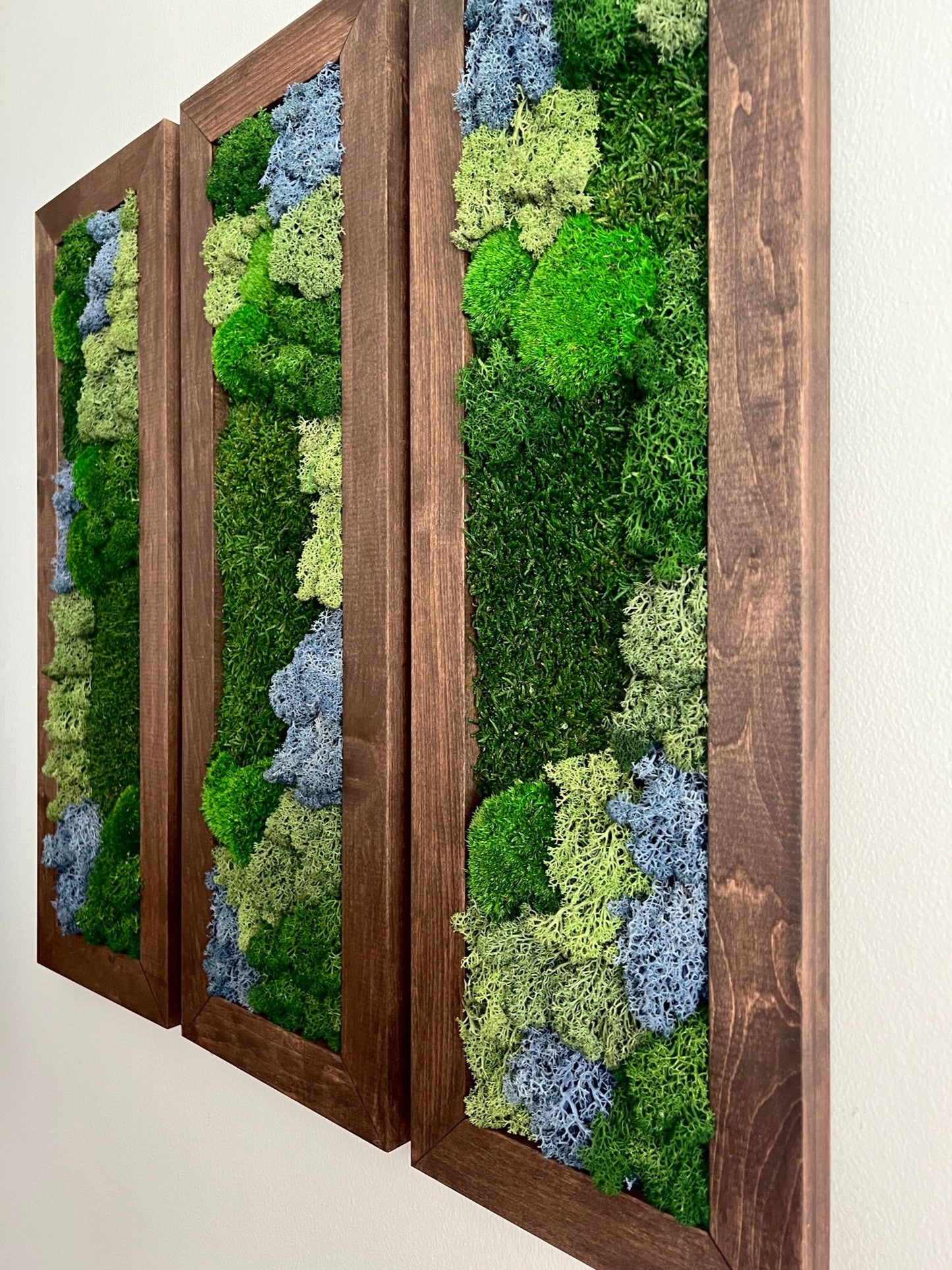 Framed Preserved Moss Wall Art: Reindeer & Pole Moss Set | USA - TARIFF FREE