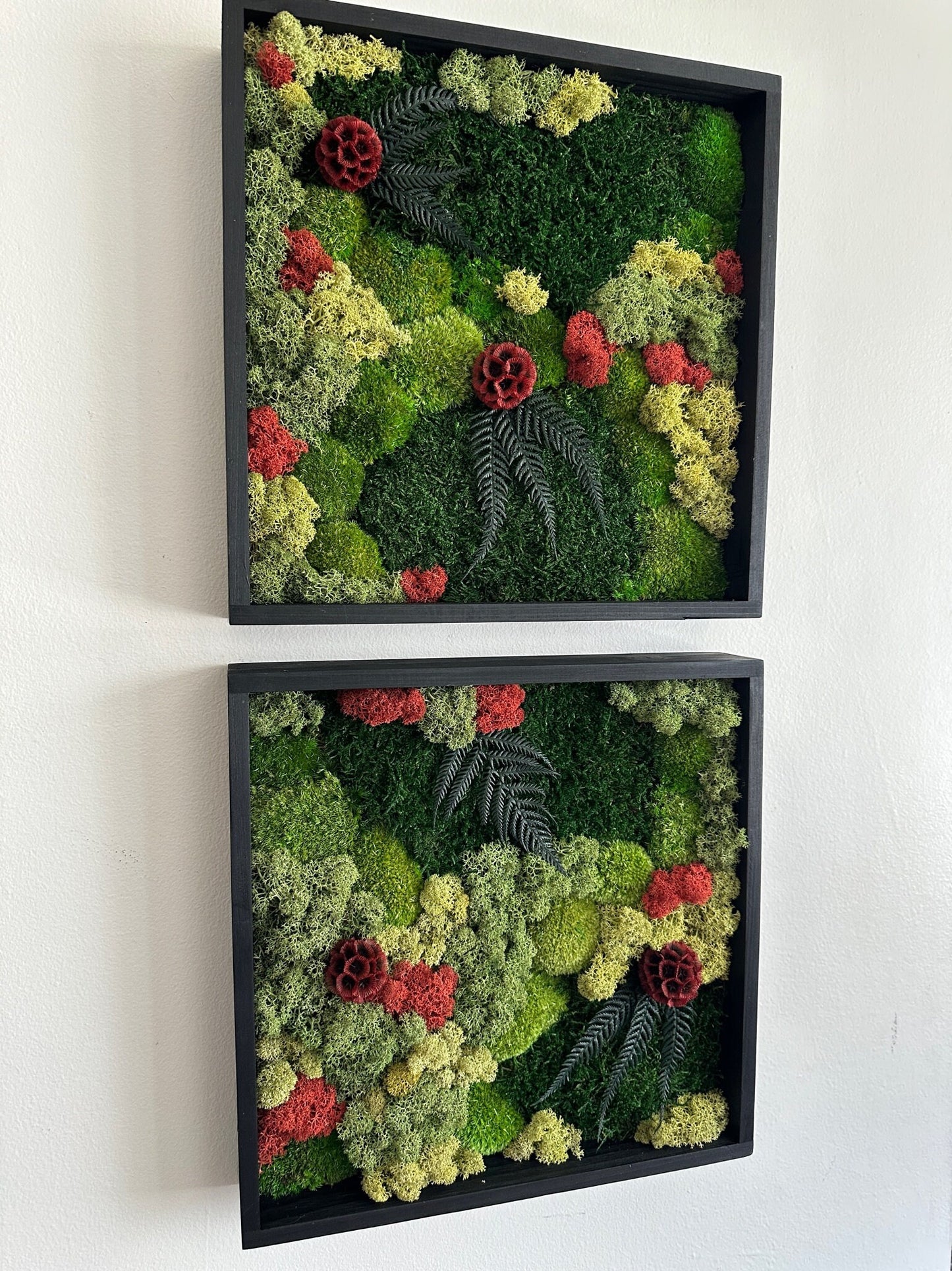 Moss Wall Art | Preserved Moss Framed | Moss Wall Decor | Square Frame | Pole Moss with Preserved Flowers, Fern with Reindeer Moss