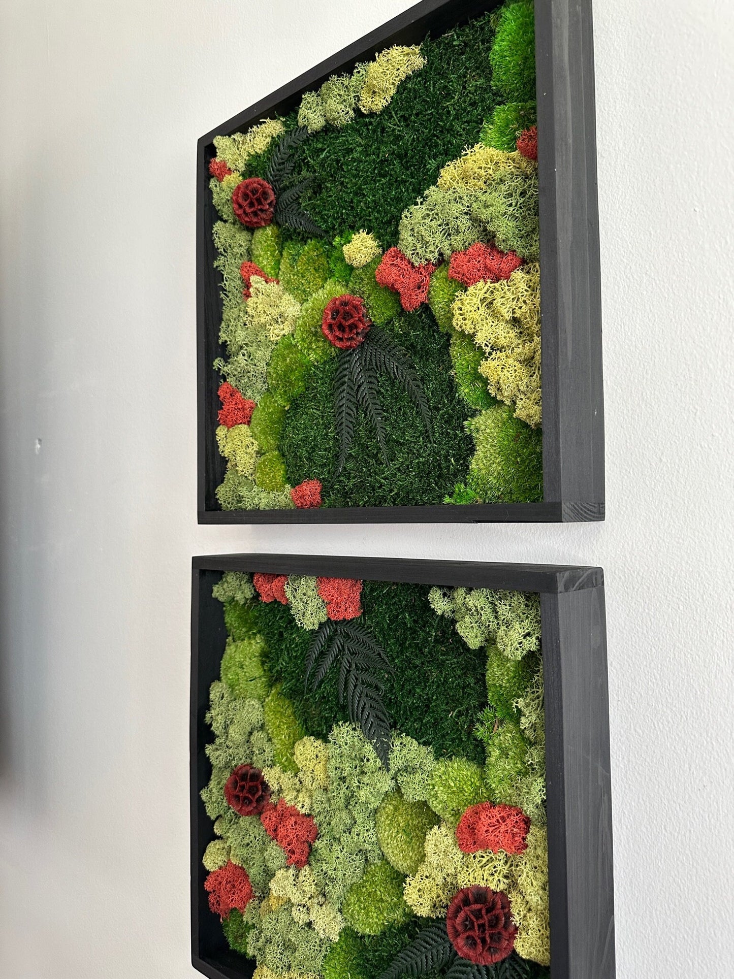 Moss Wall Art | Preserved Moss Framed | Moss Wall Decor | Square Frame | Pole Moss with Preserved Flowers, Fern with Reindeer Moss