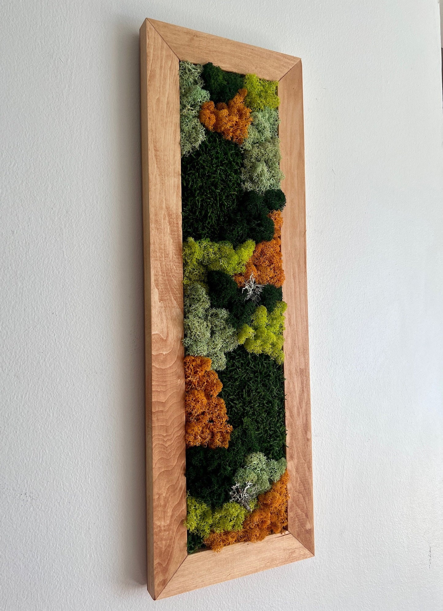 Framed Preserved Reindeer Moss Wall Art: Rectangle Set | USA - TARIFF FREE