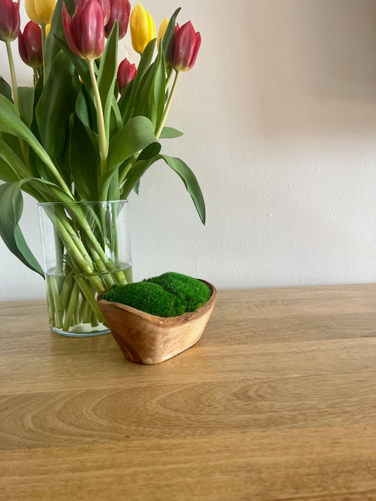 Preserved Pole Moss Centerpiece | Olive Wood Bowl, Home Decor