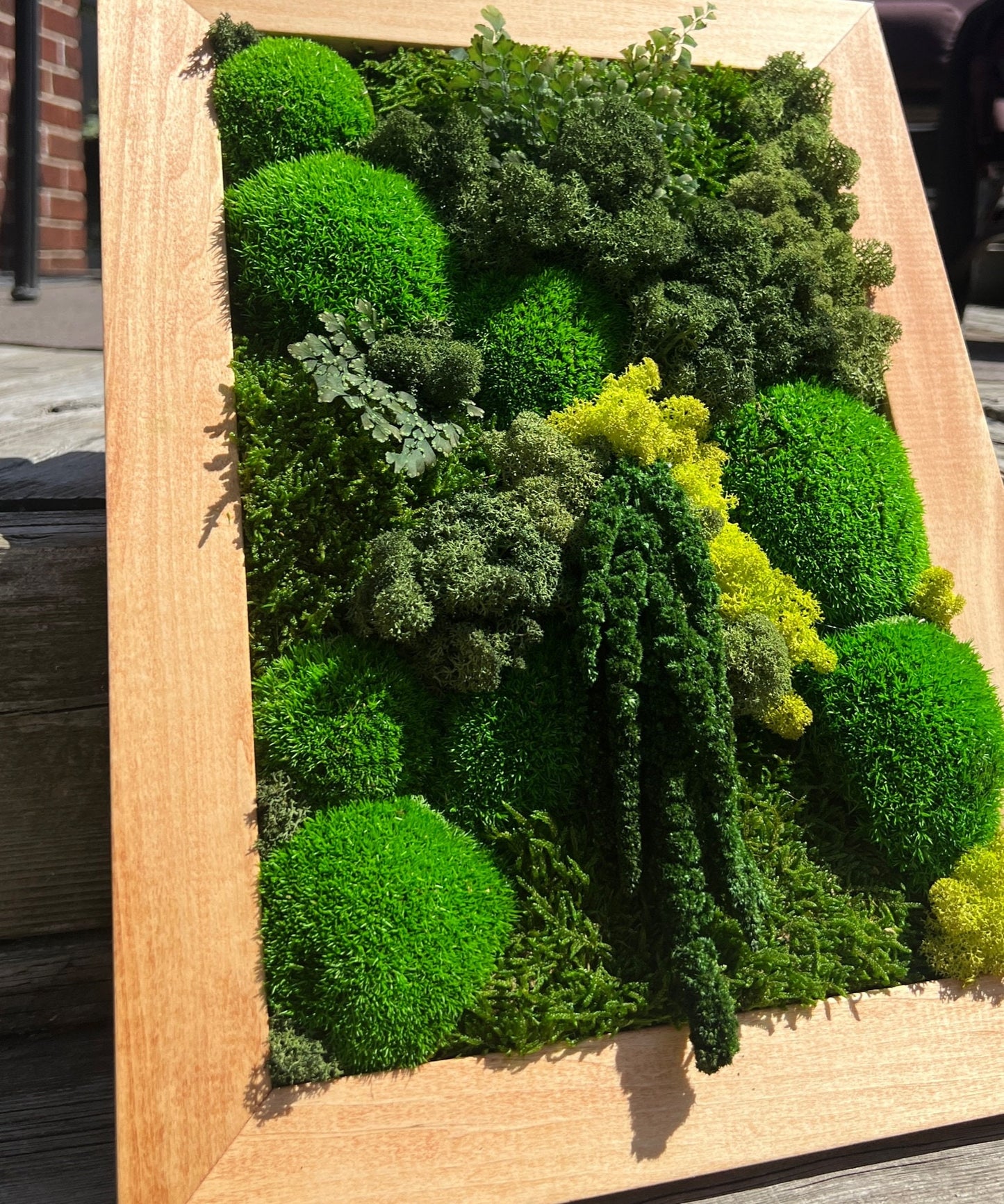 Moss Wall Art | Preserved Moss Framed | Moss Wall Decor | Rectangle Frame | Green Mountains Reindeer Moss