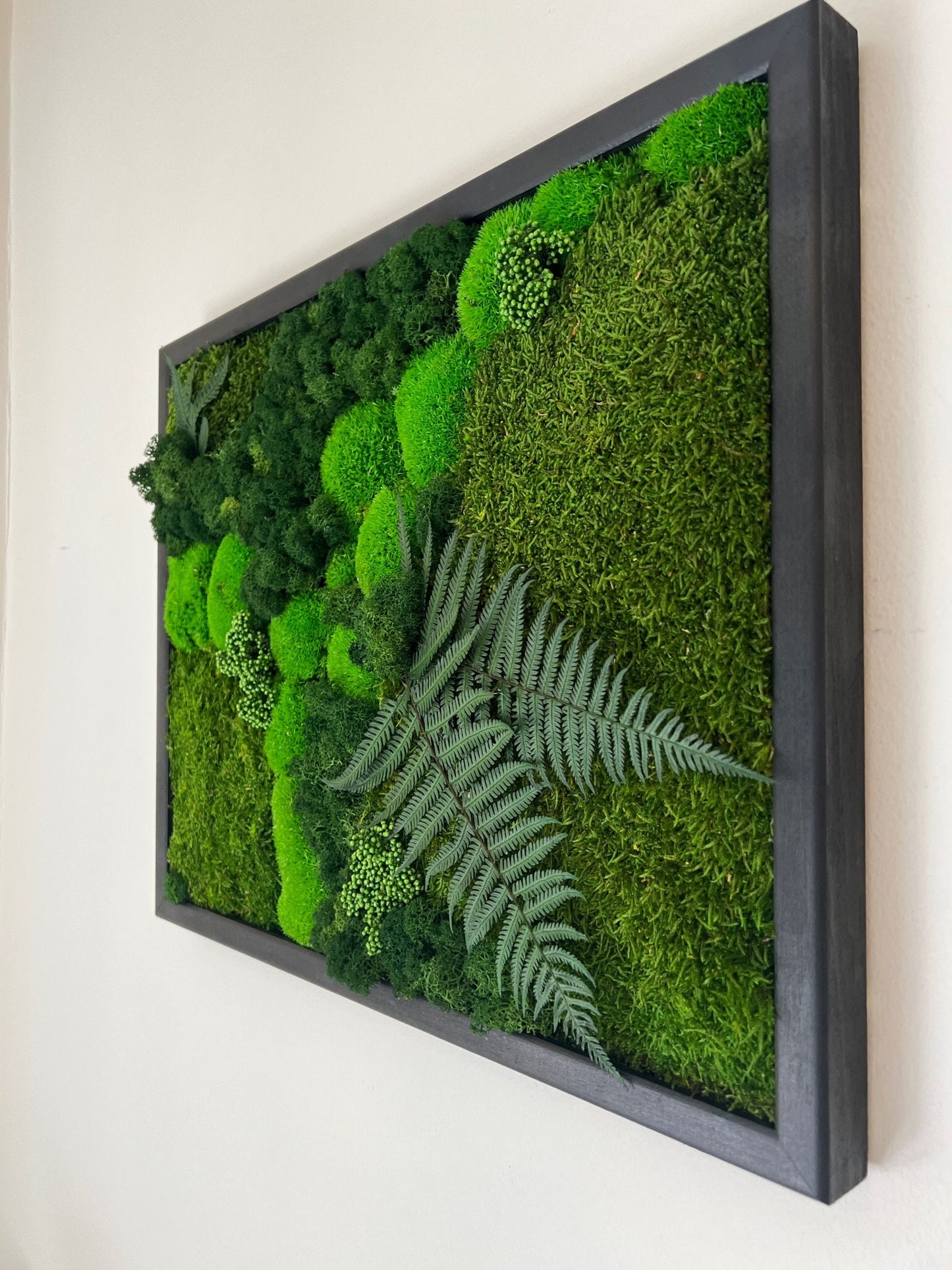 Moss Wall Art | Preserved Moss Framed | Moss Wall Decor | Pole Moss Sheet Moss and Fern with Reindeer Moss