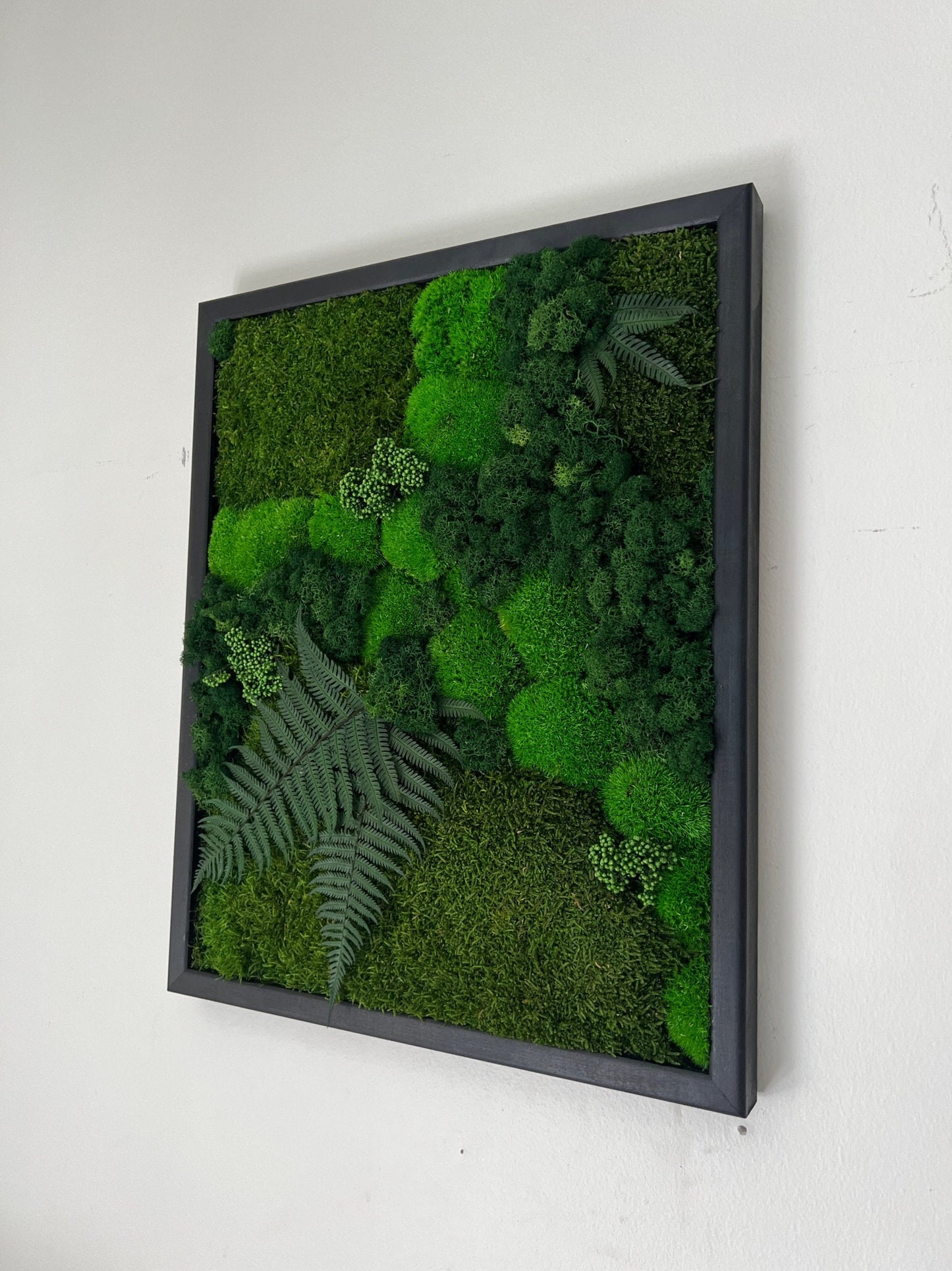 Moss Wall Art | Preserved Moss Framed | Moss Wall Decor | Pole Moss Sheet Moss and Fern with Reindeer Moss