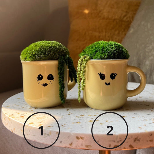 Preserved Moss Mini Centerpiece: Espresso Cup with Fern | USA - TARIFF FREE