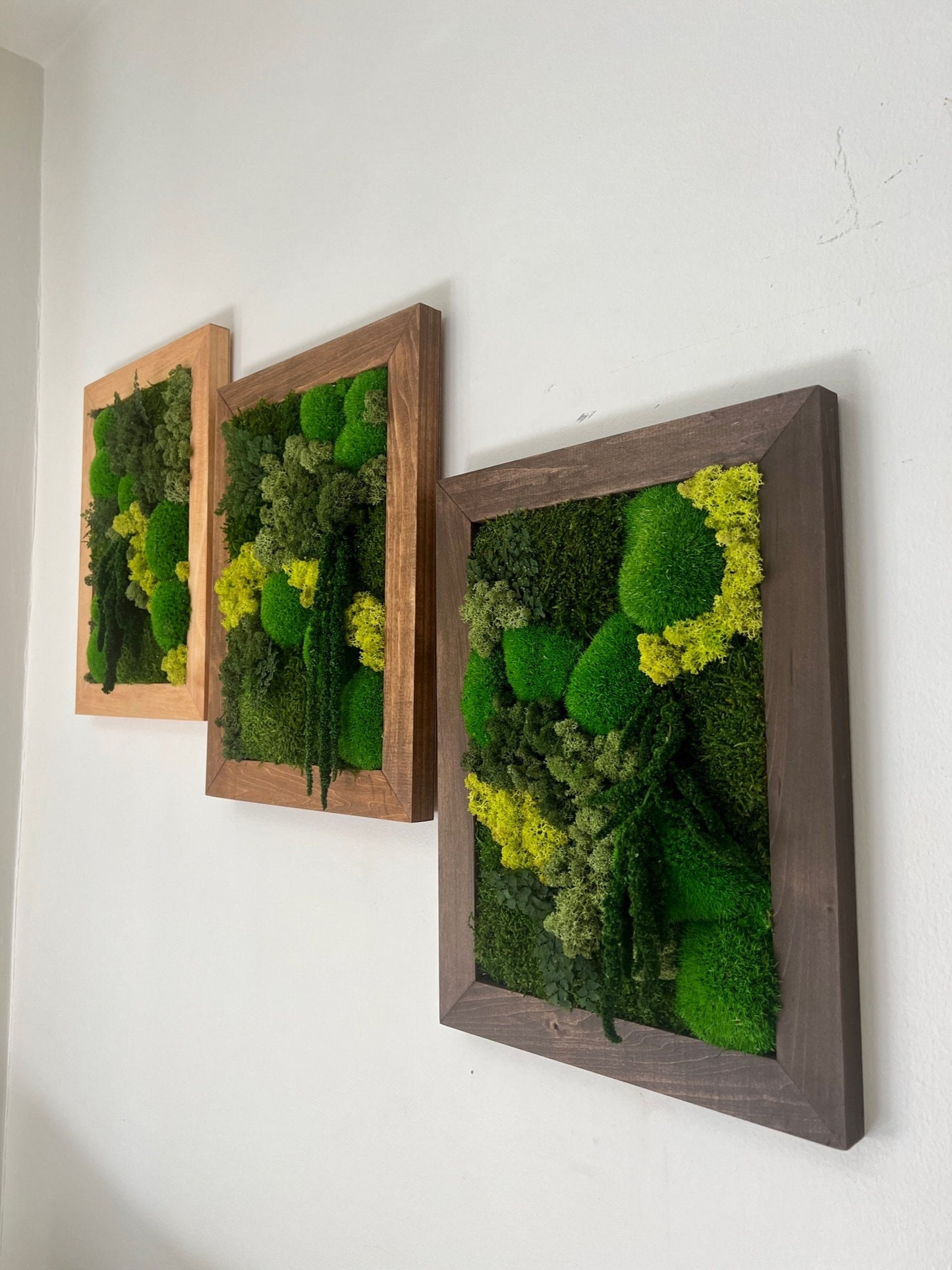 Moss Wall Art | Preserved Moss Framed | Moss Wall Decor | Rectangle Frame | Green Mountains Reindeer Moss