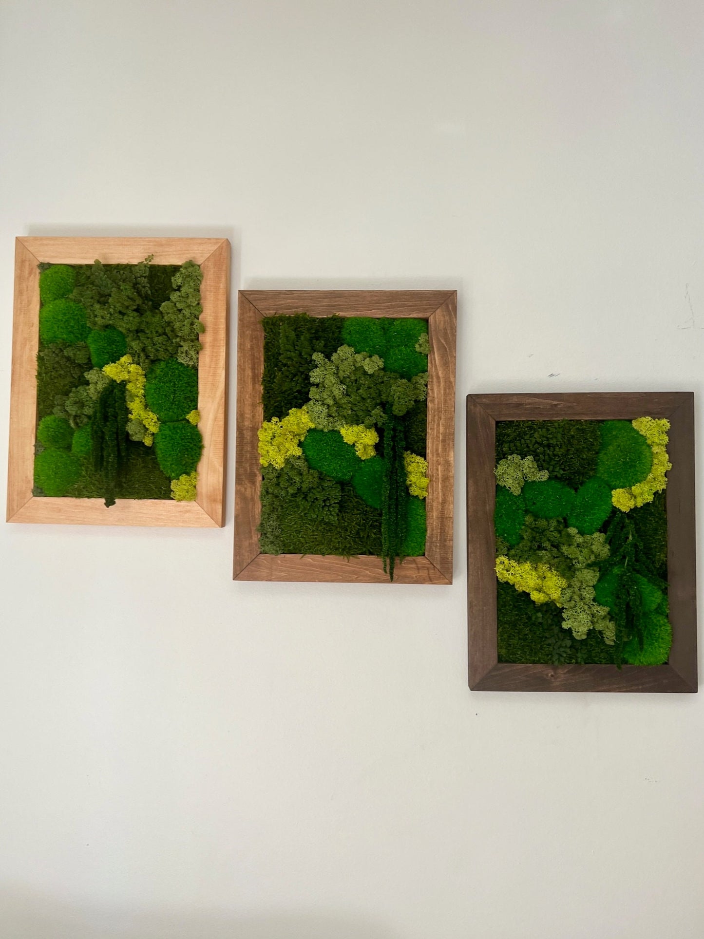 Moss Wall Art | Preserved Moss Framed | Moss Wall Decor | Rectangle Frame | Green Mountains Reindeer Moss
