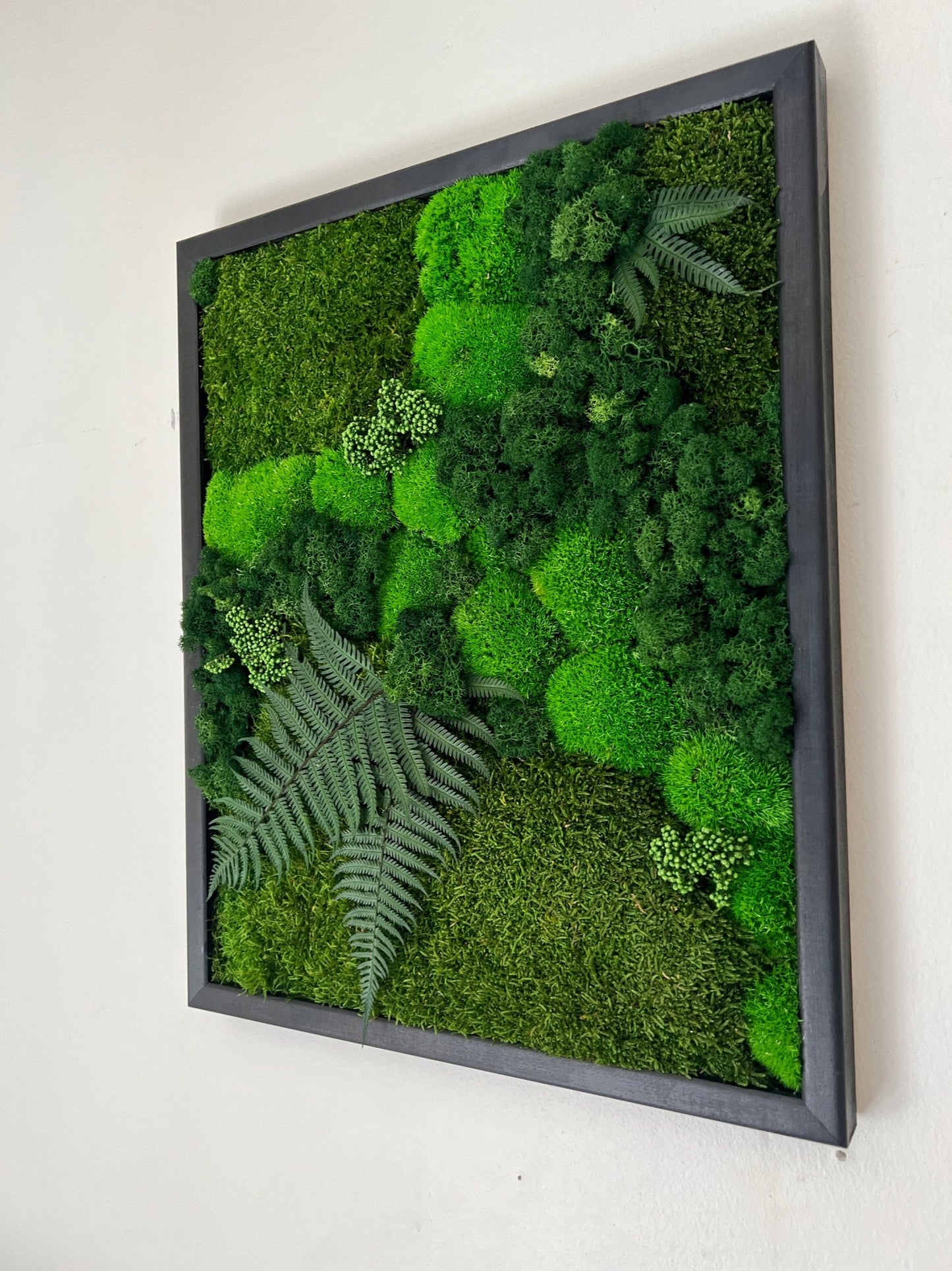 Moss Wall Art | Preserved Moss Framed | Moss Wall Decor | Pole Moss Sheet Moss and Fern with Reindeer Moss