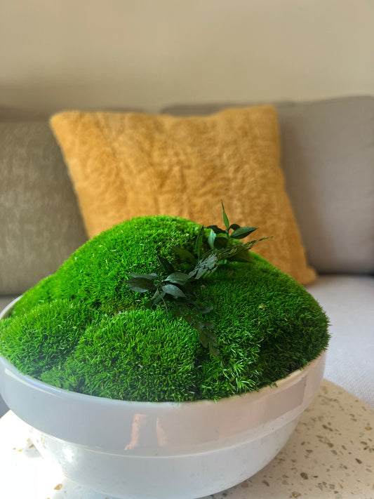 Preserved Pole Moss Centerpiece: Ceramic Bowl, Green Moss Decor | USA - TARIFF FREE