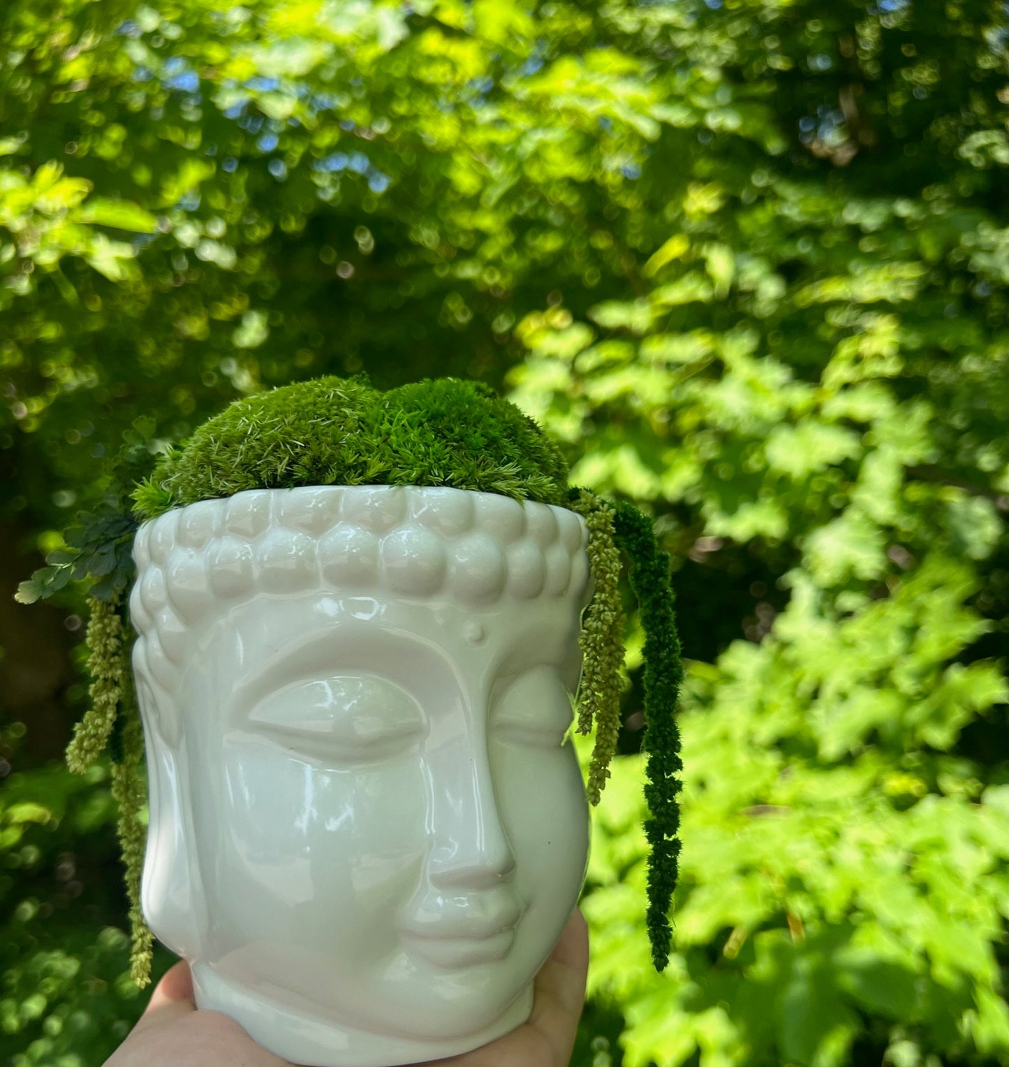 Preserved Moss Centerpiece: Buddha Bowl with Fern | USA - TARIFF FREE