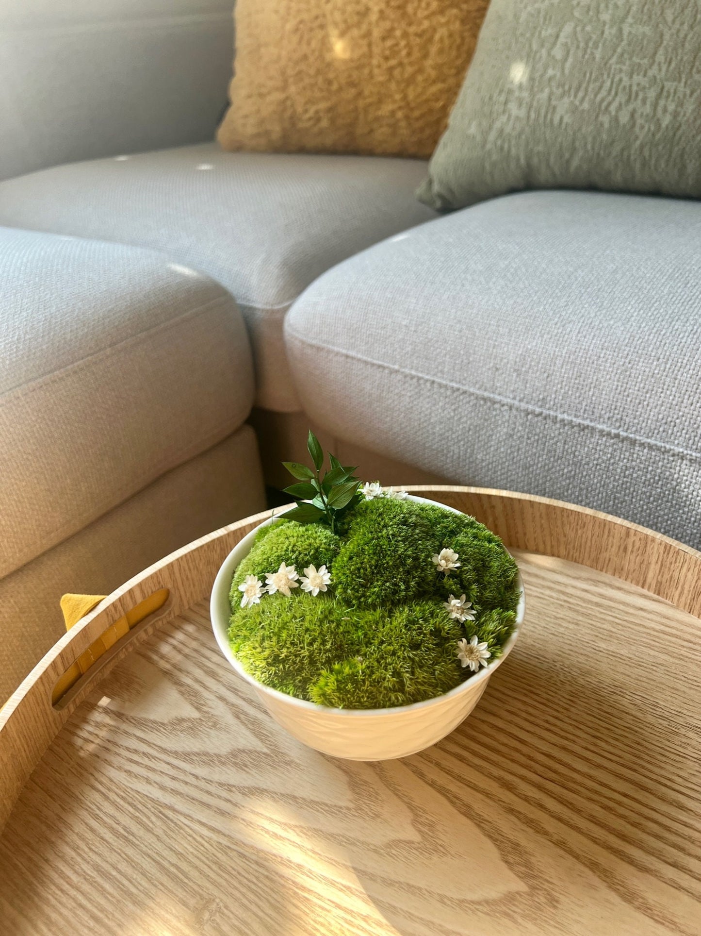 Moss Bowl Centrepiece | Moss | Preserved Moss Gift | Ceramic Moss Bowl | One of a Kind | Green Pole Moss | Preserved Fern | Wedding Gift |