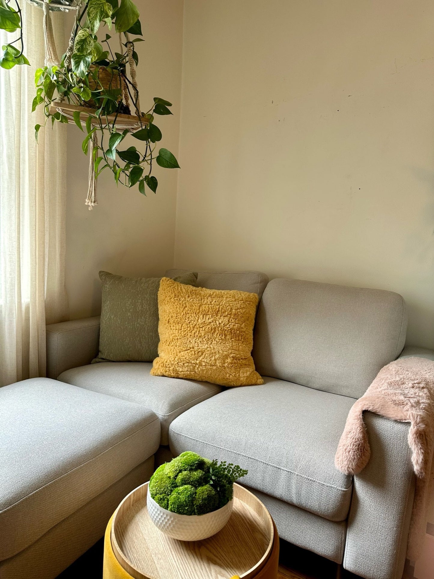 Preserved Pole Moss Centerpiece: Ceramic Bowl, Green Moss Decor | USA - TARIFF FREE