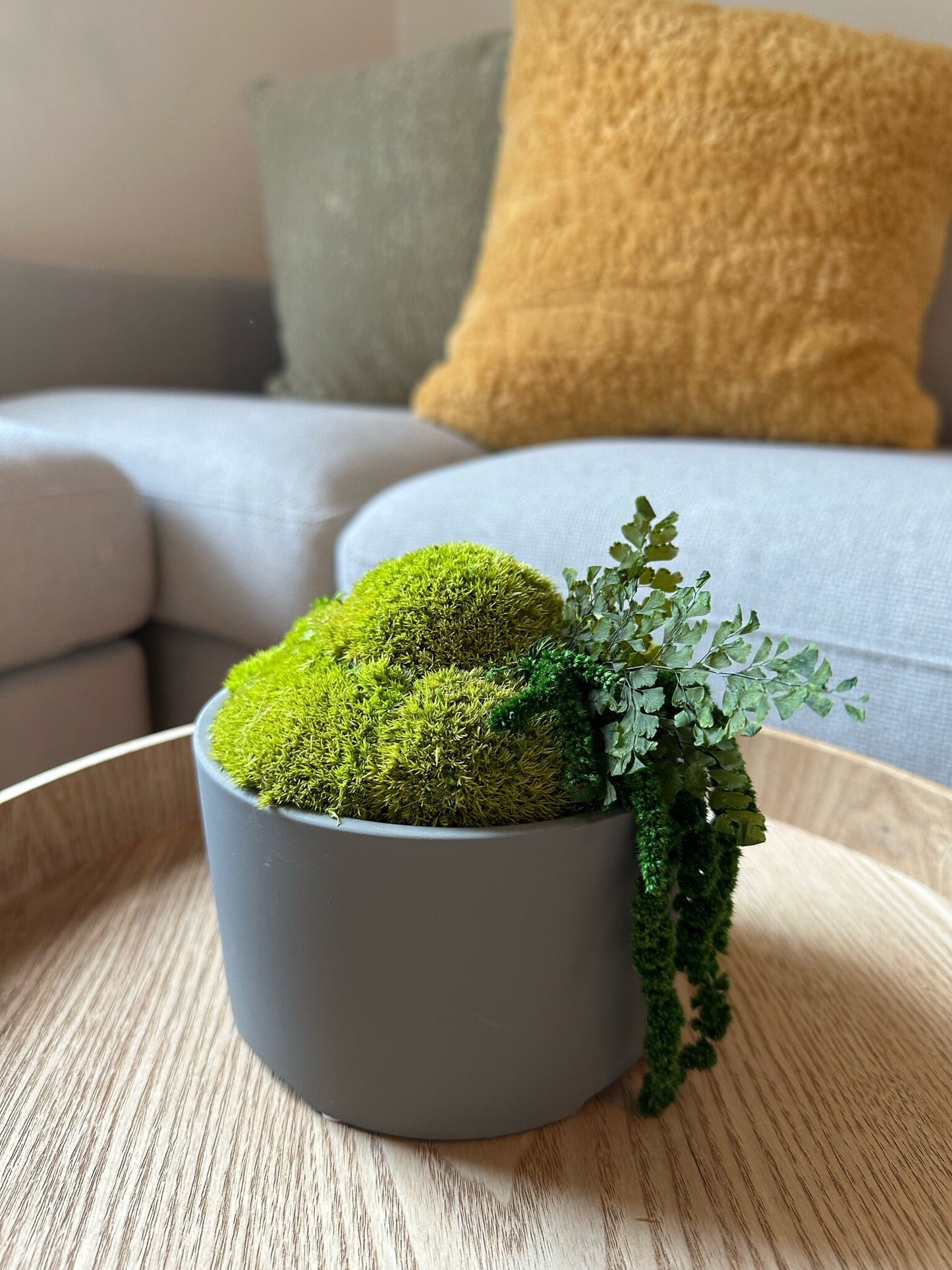 Preserved Moss Bowl Centerpiece: Concrete Planter with Fern | USA - TARIFF FREE