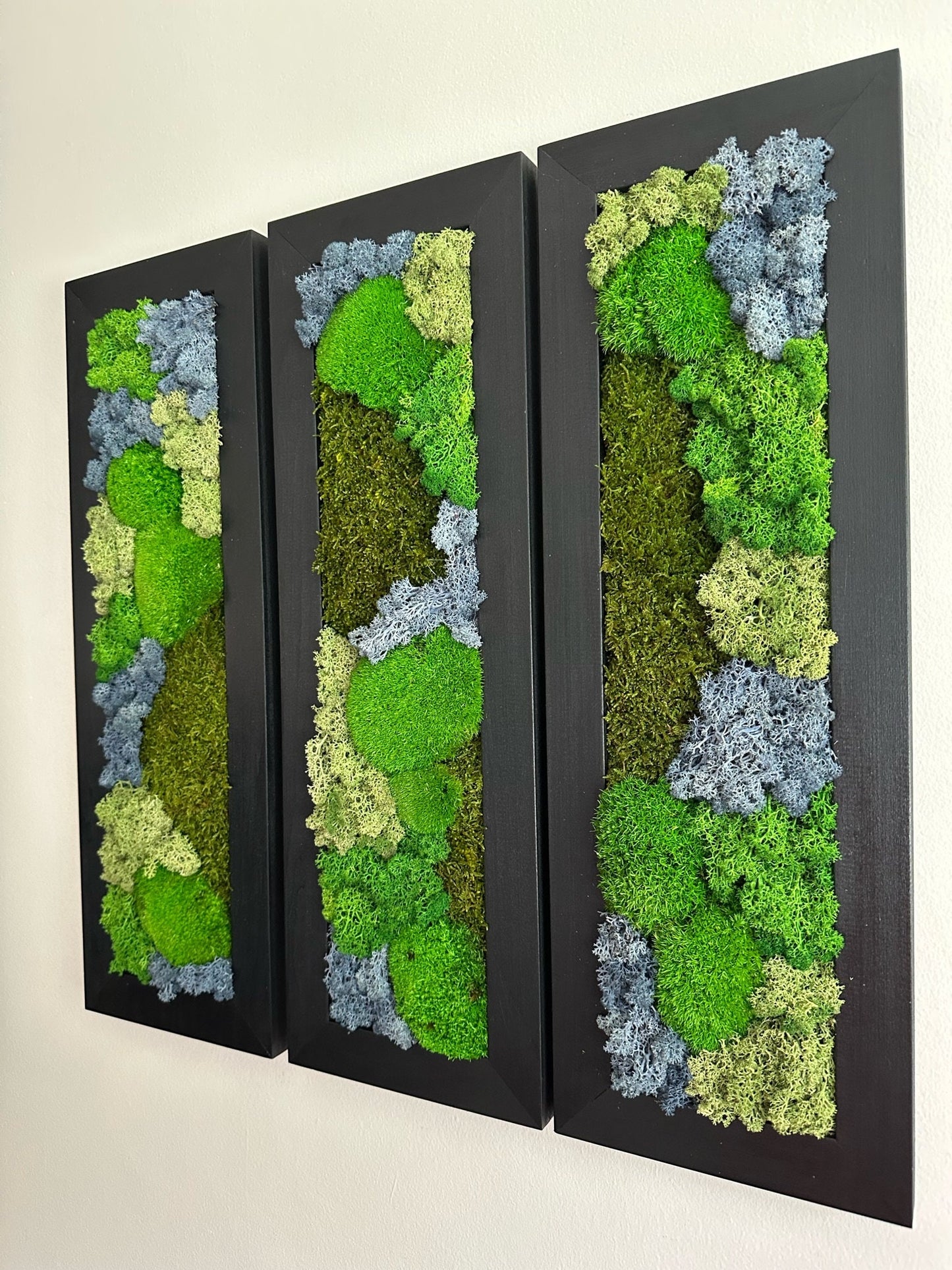 Moss Wall Art | Preserved Moss Art Framed | Moss Wall Decor | Moss Wall Sets | Large Rectangle Single to Six Set | Reindeer Moss Pole Moss