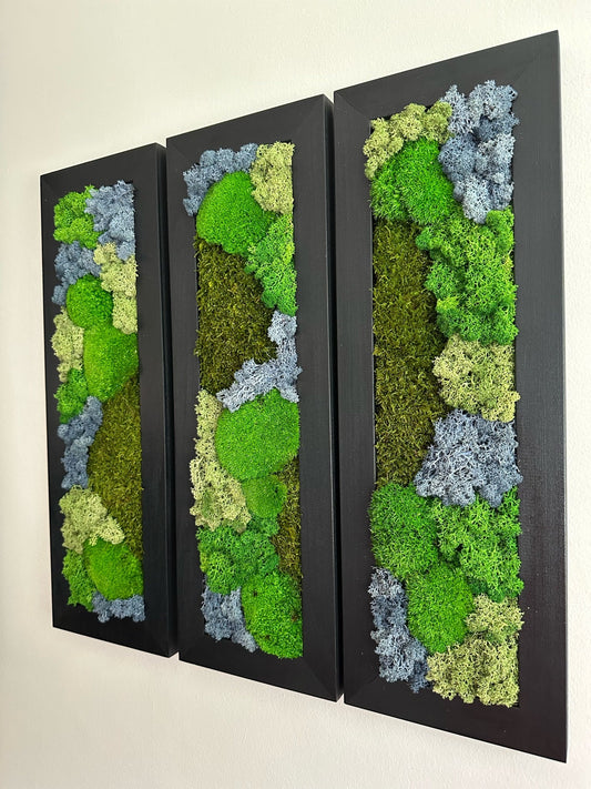 Framed Preserved Reindeer Sheet and Pole Moss Wall Art: Rectangle Set | USA - TARIFF FREE