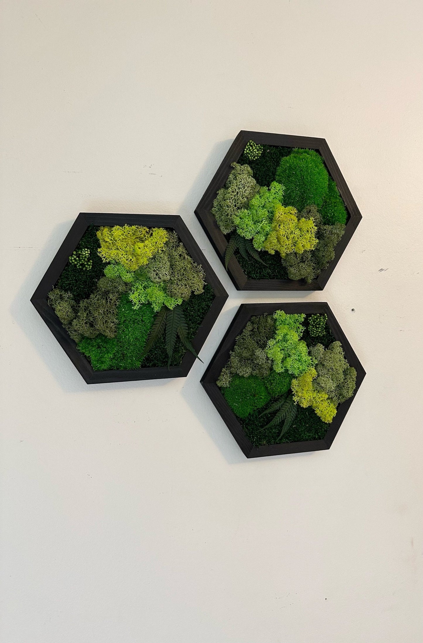 Handmade Moss Wall Art: Wood Hexagon with Reindeer Moss & Fern | USA - TARIFF FREE